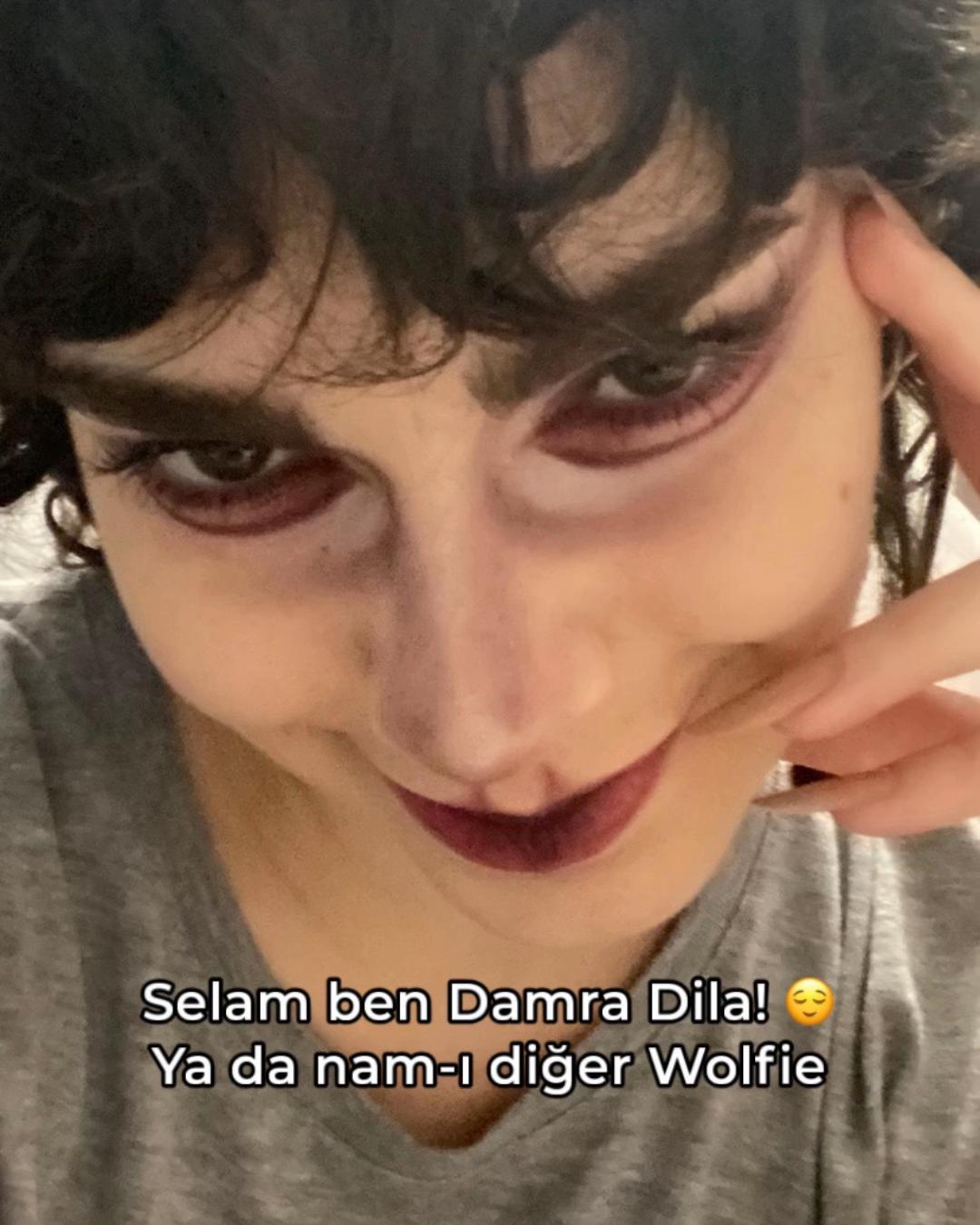 @fantasticwolfie
