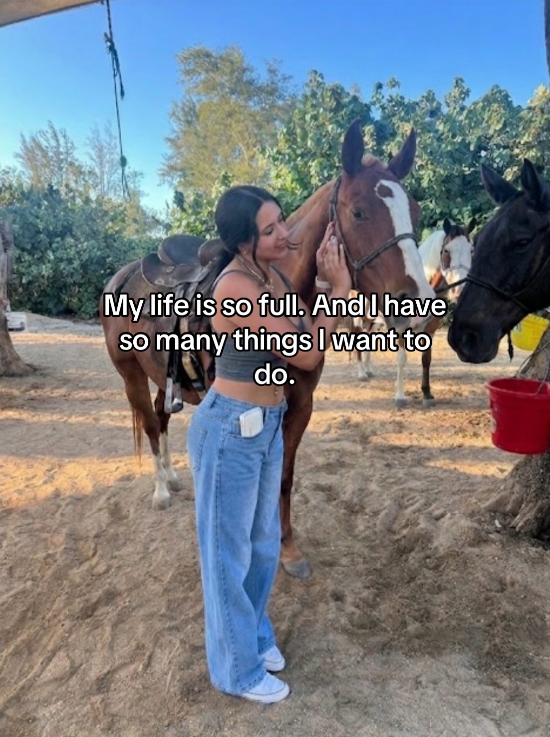 @ashleypakzad