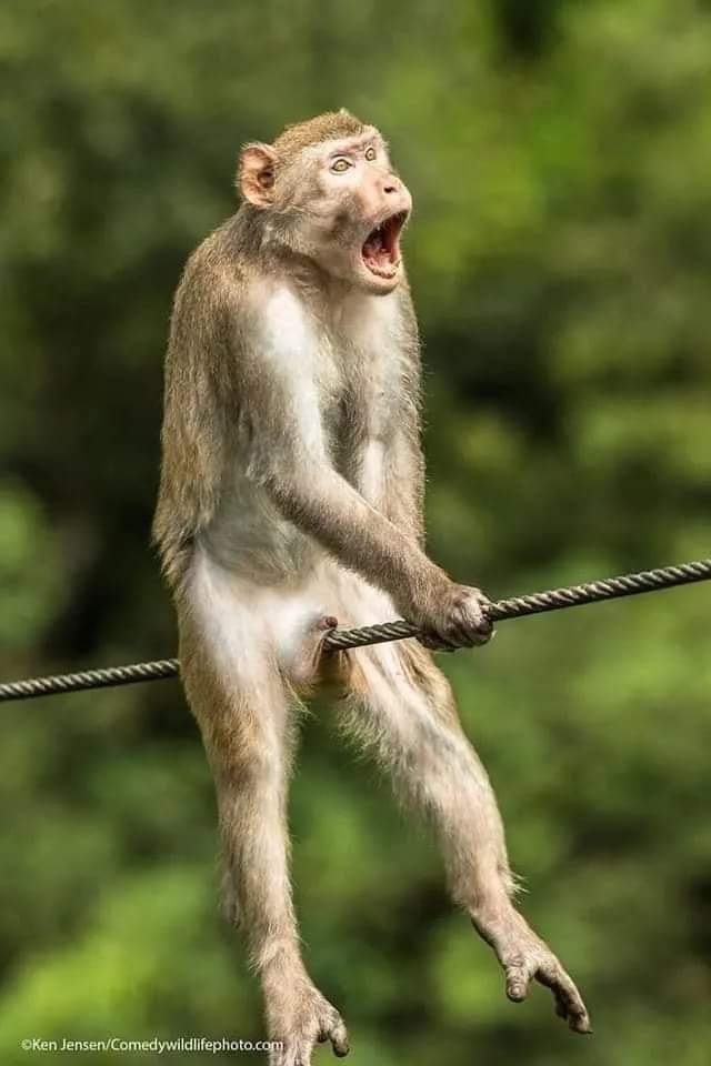@Rumpi