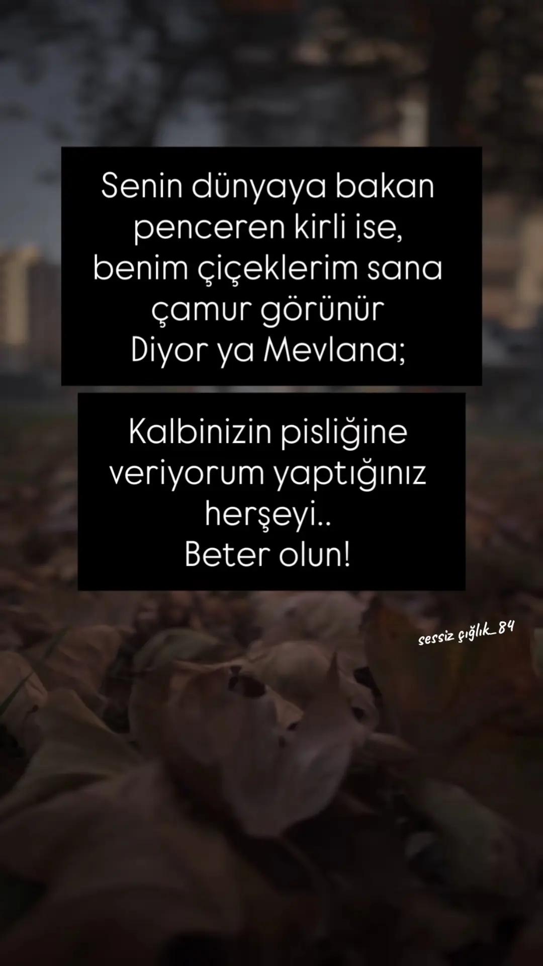 @sessiz çığlık_84