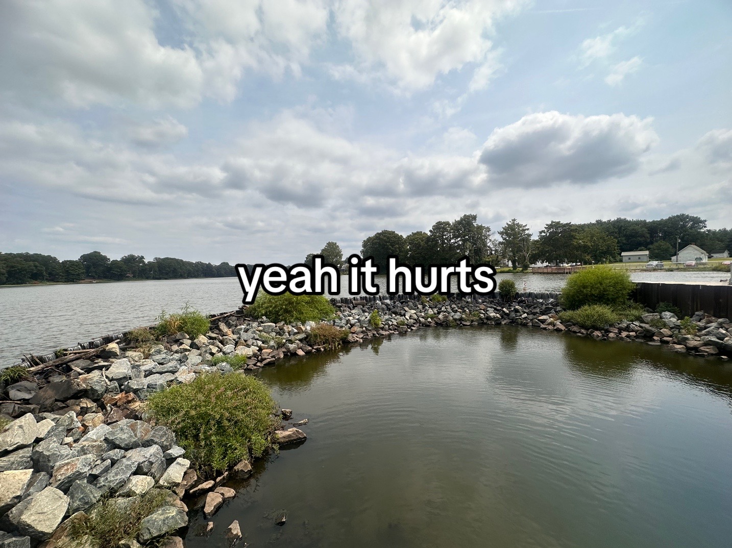 @sab❀