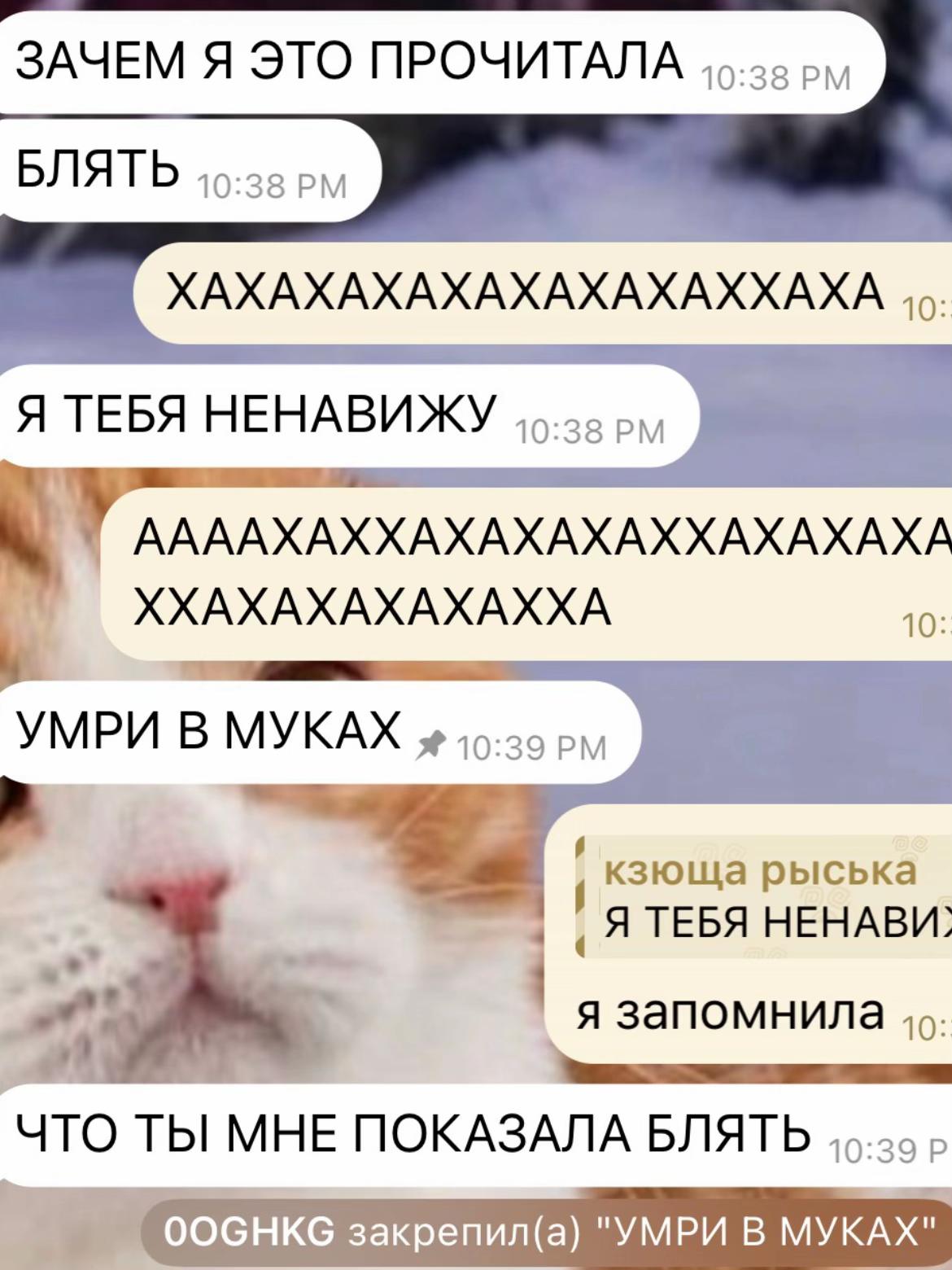 @oghkg