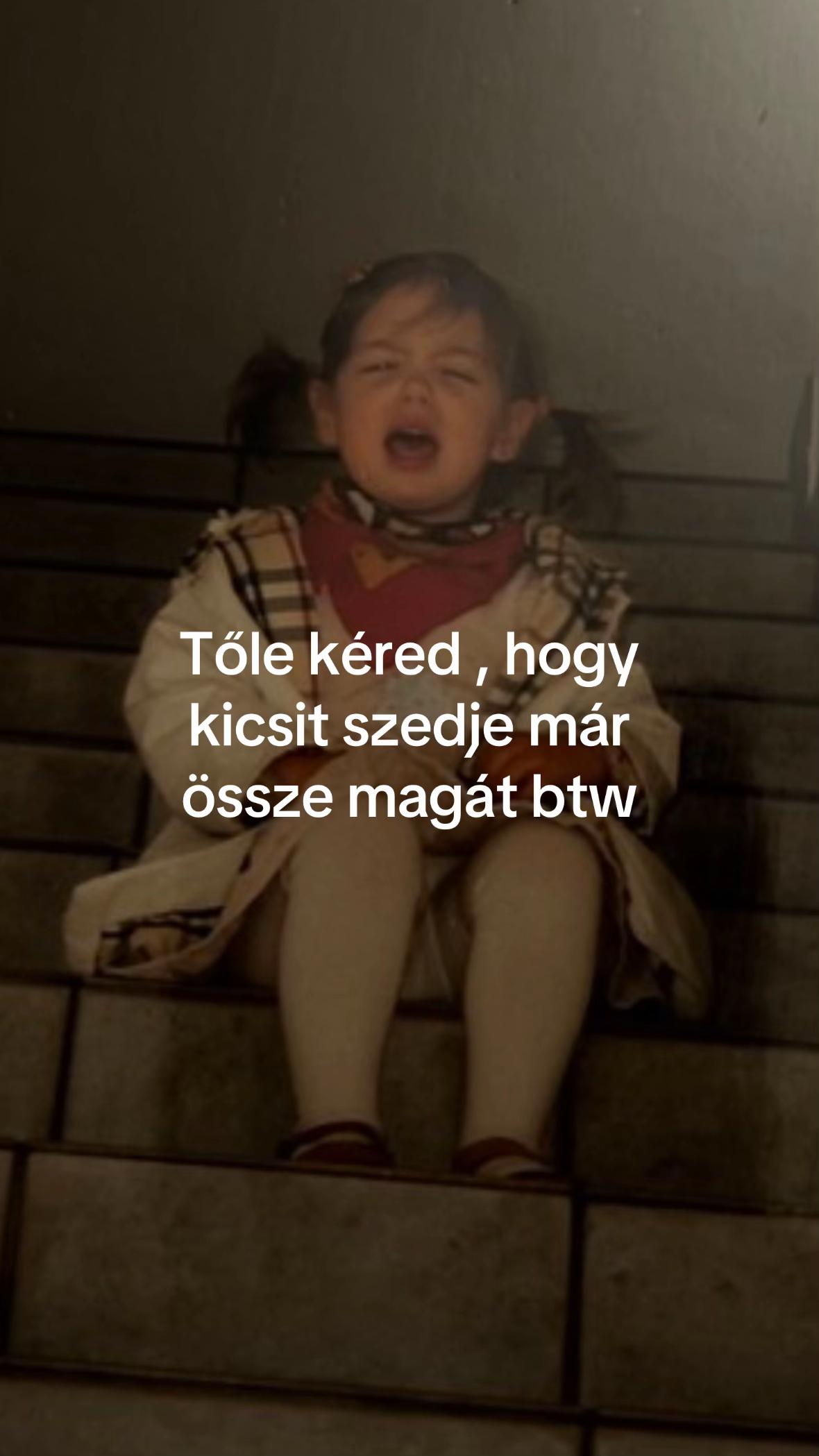 @Csinszja