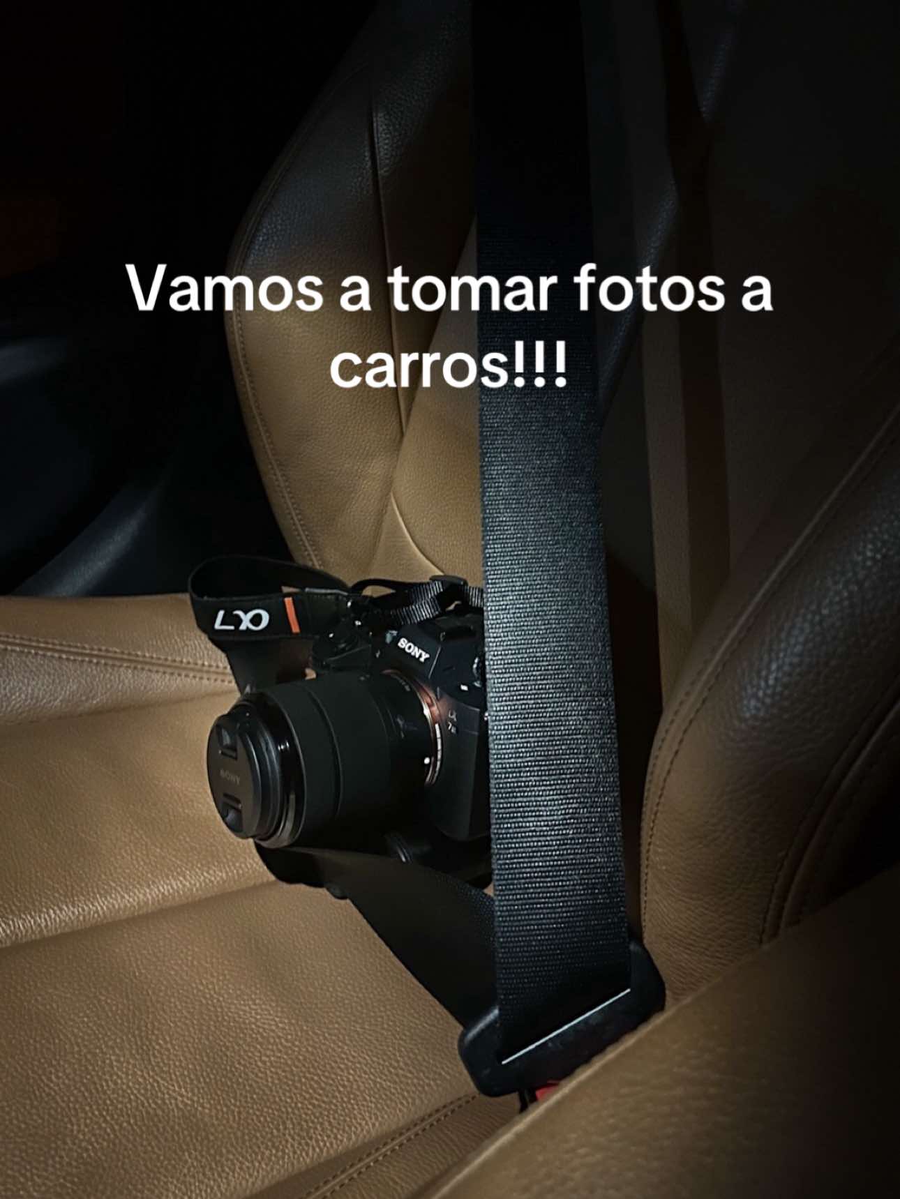 @Exotics.mx