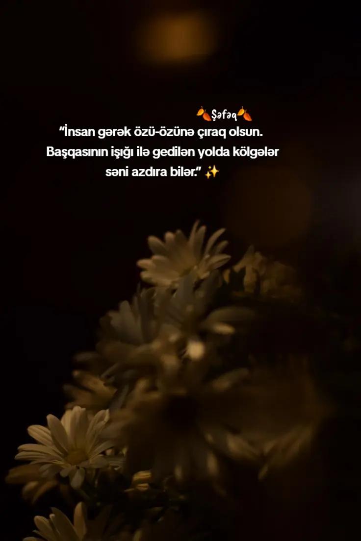 @🍂ŞƏFƏQ🍂