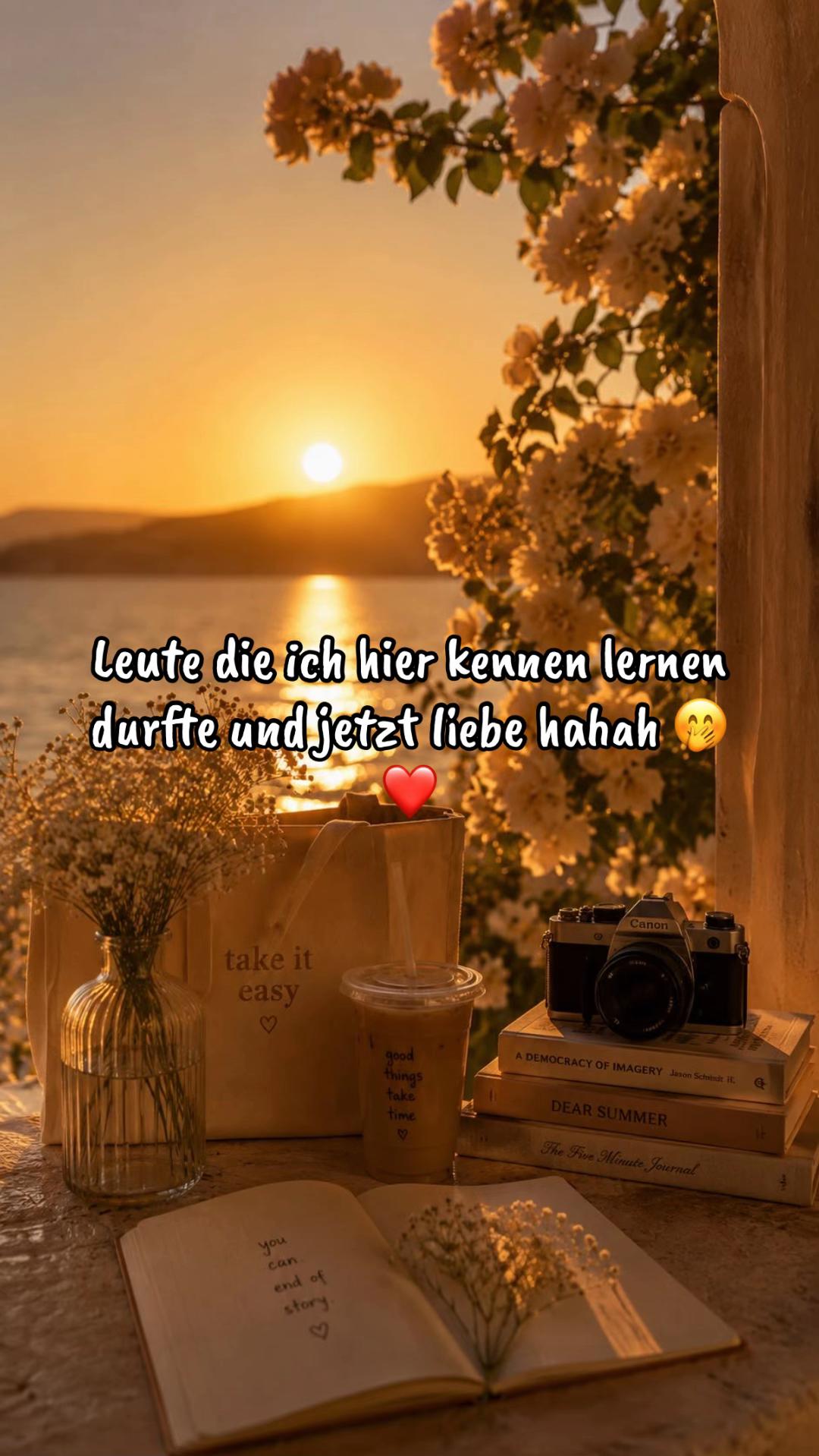@ynstoryzone