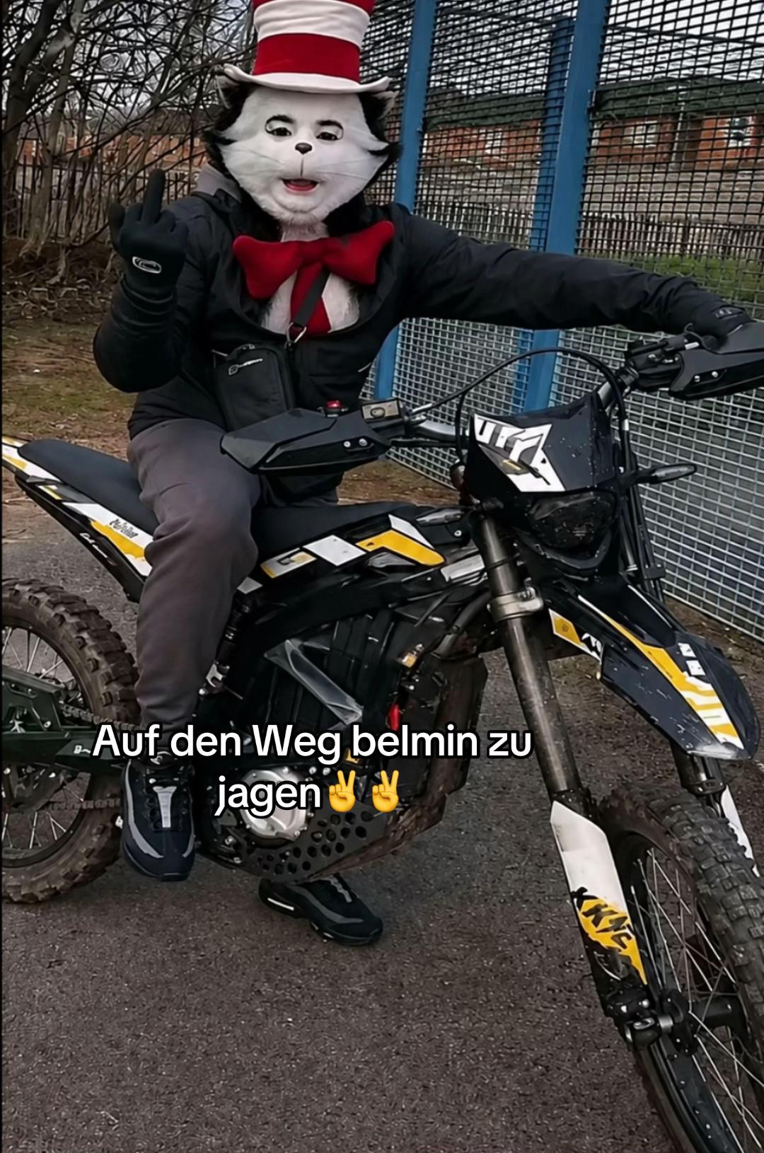 @catinthehathamm