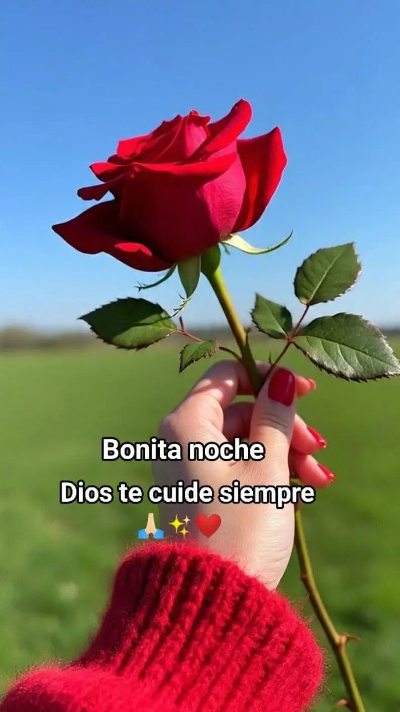 @user79817016631184