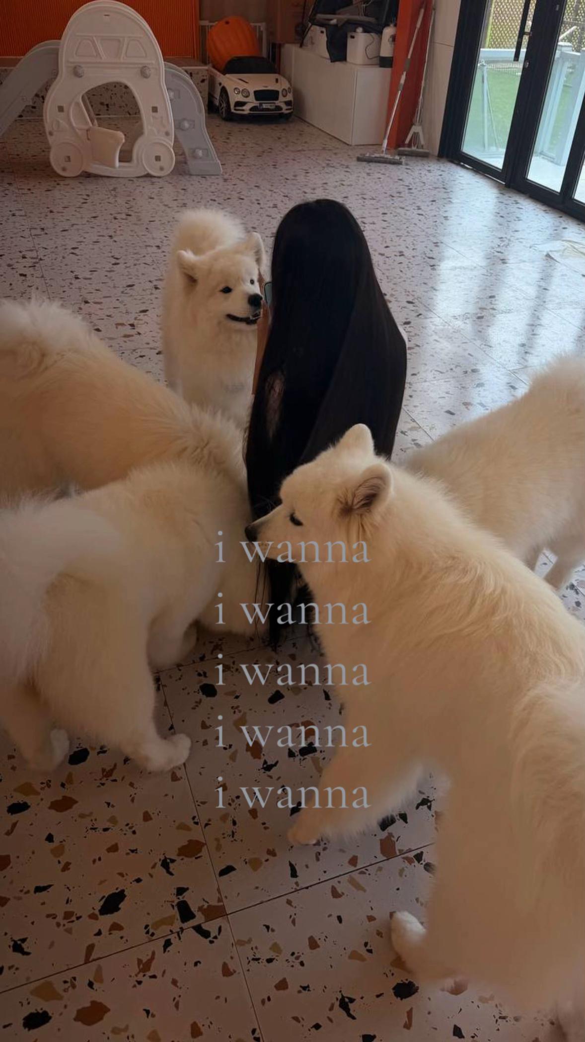 @$aiji🦢