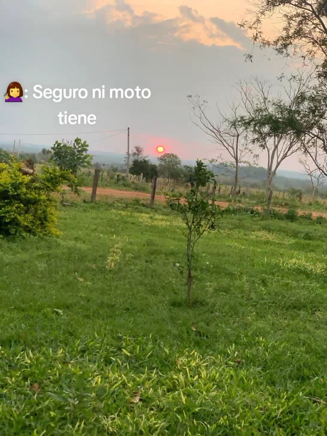 @Frases 🌹🥀
