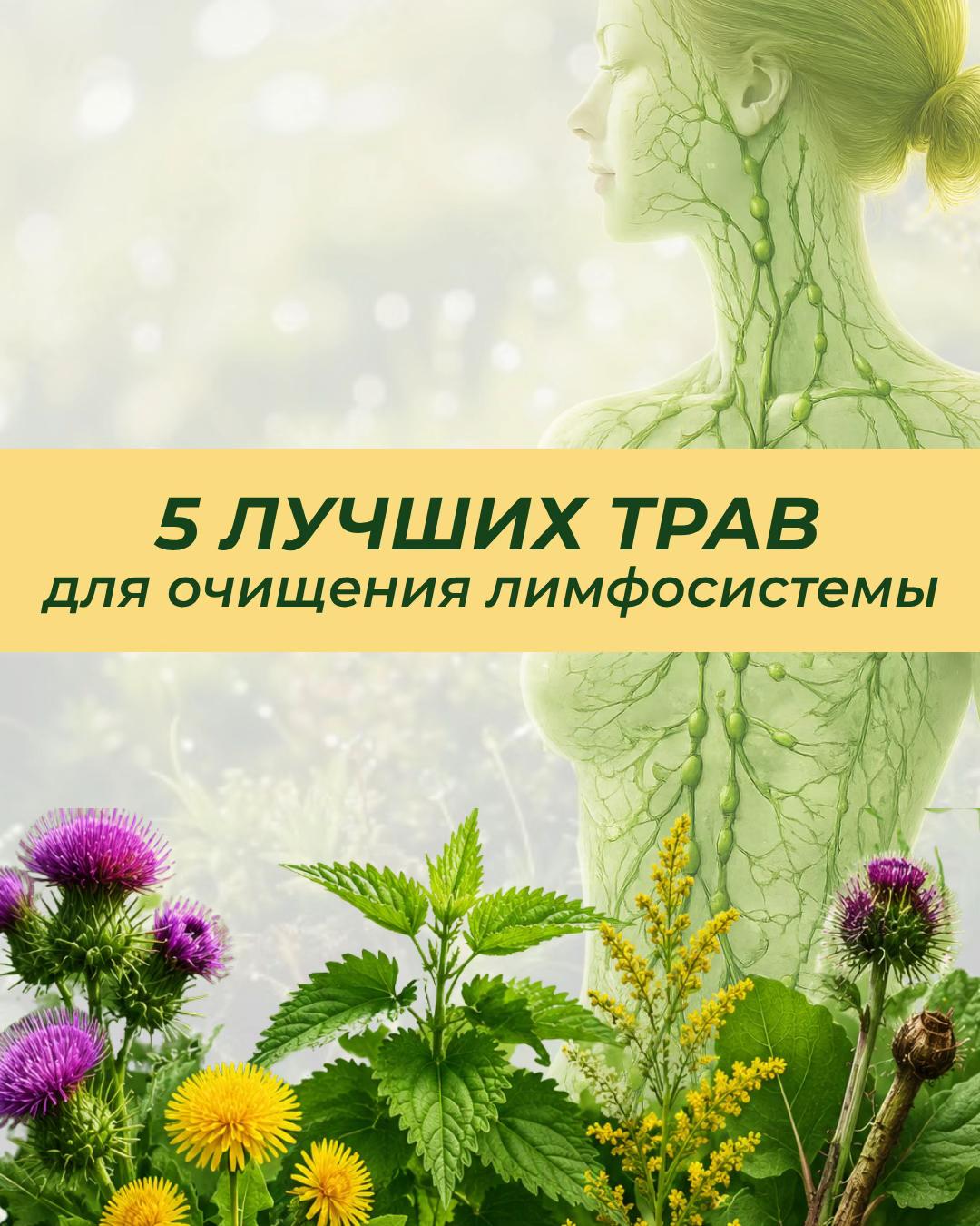@Анна Гоголева