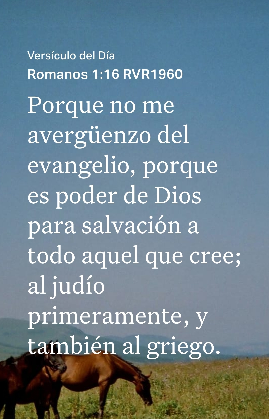 @sarahi