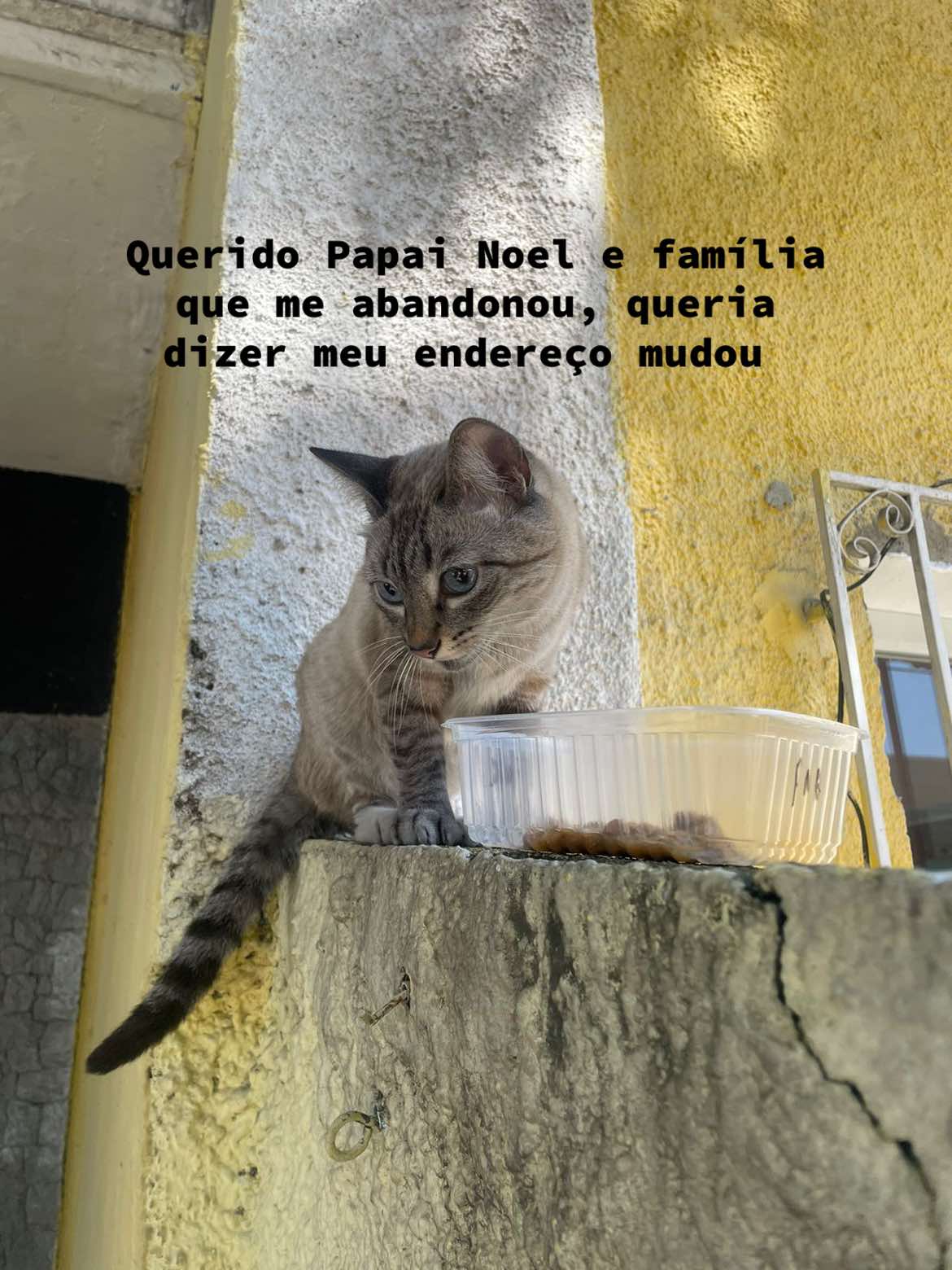 @Brisa&ensp;Maria&ensp;e&ensp;Antonio&ensp;Carlos