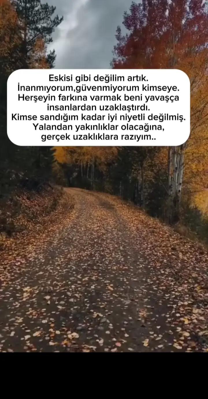 @Ece soner