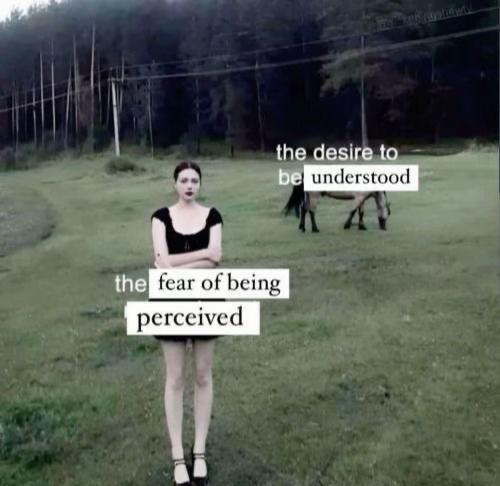 @Nocturne