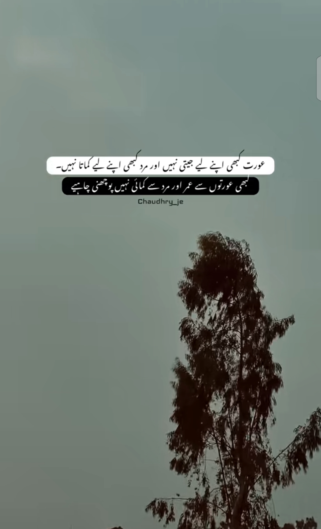 @مرشدヅ 🏴