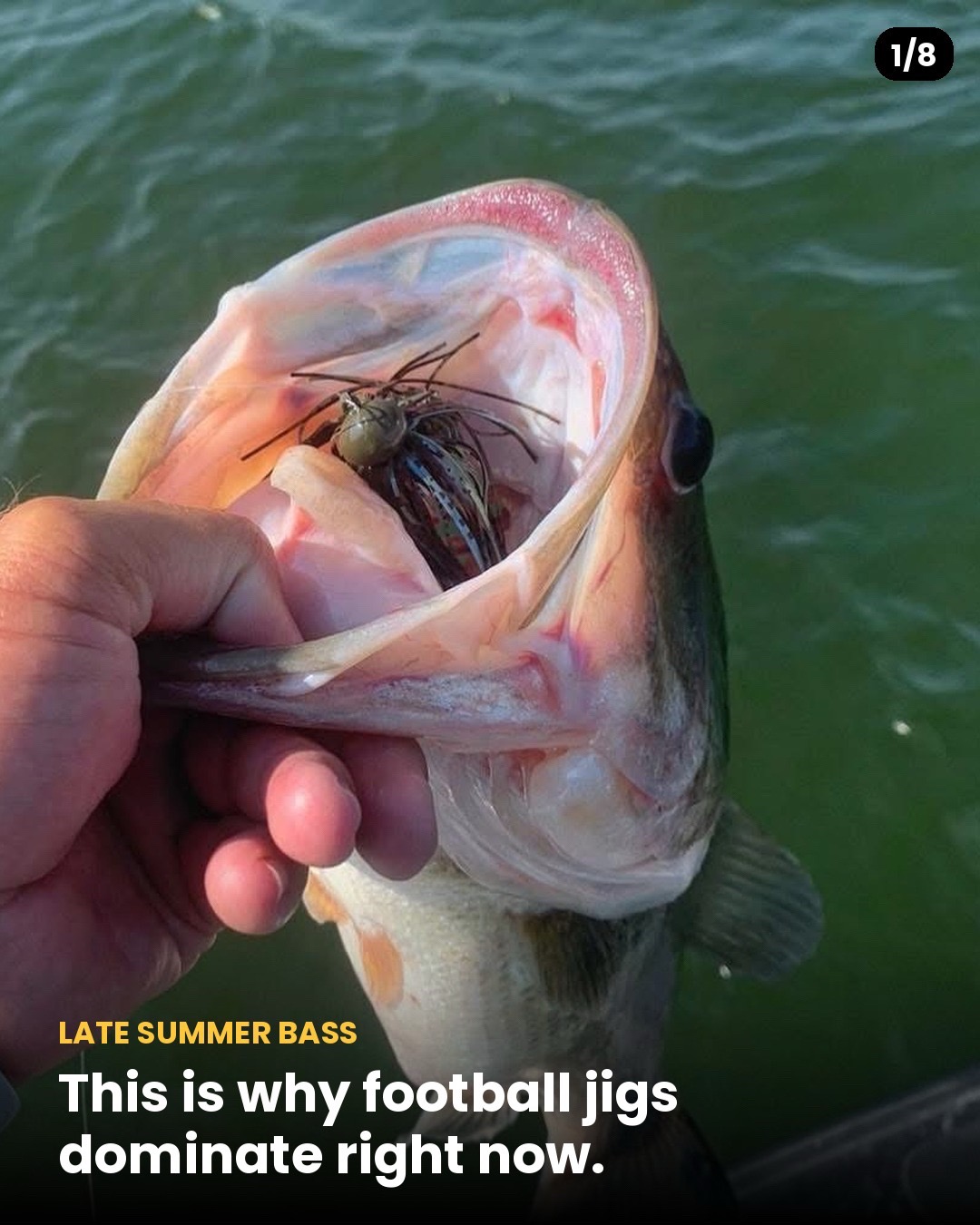 @Motion Fishing