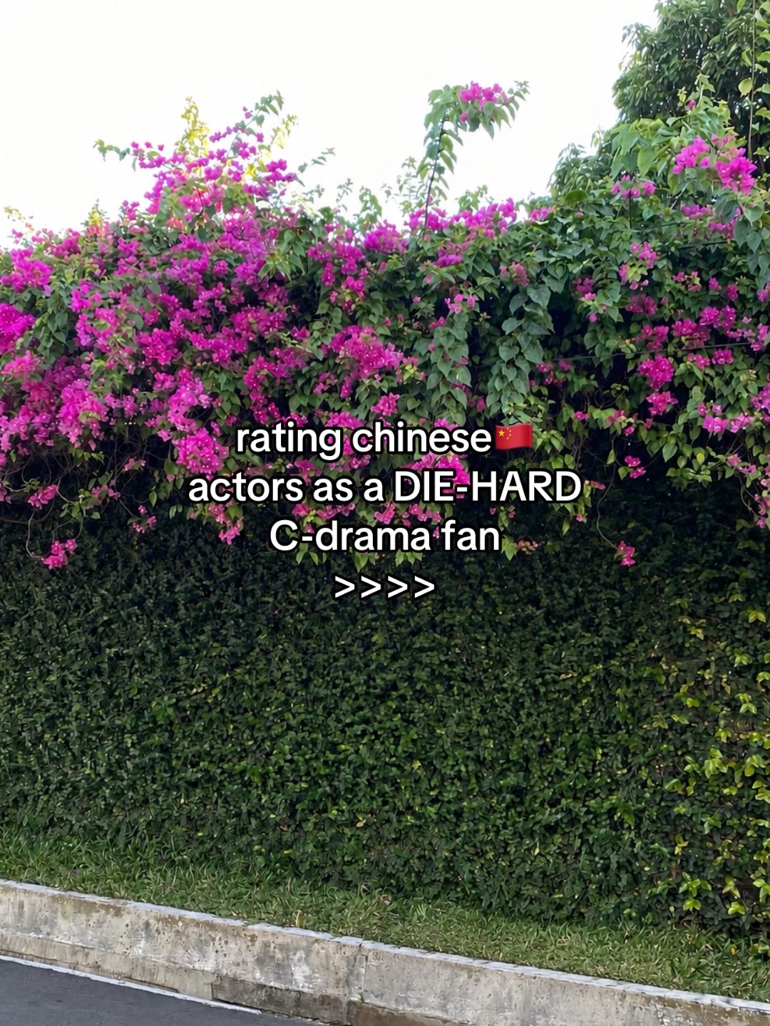 @baobao ݁˖Ი𐑼⋆