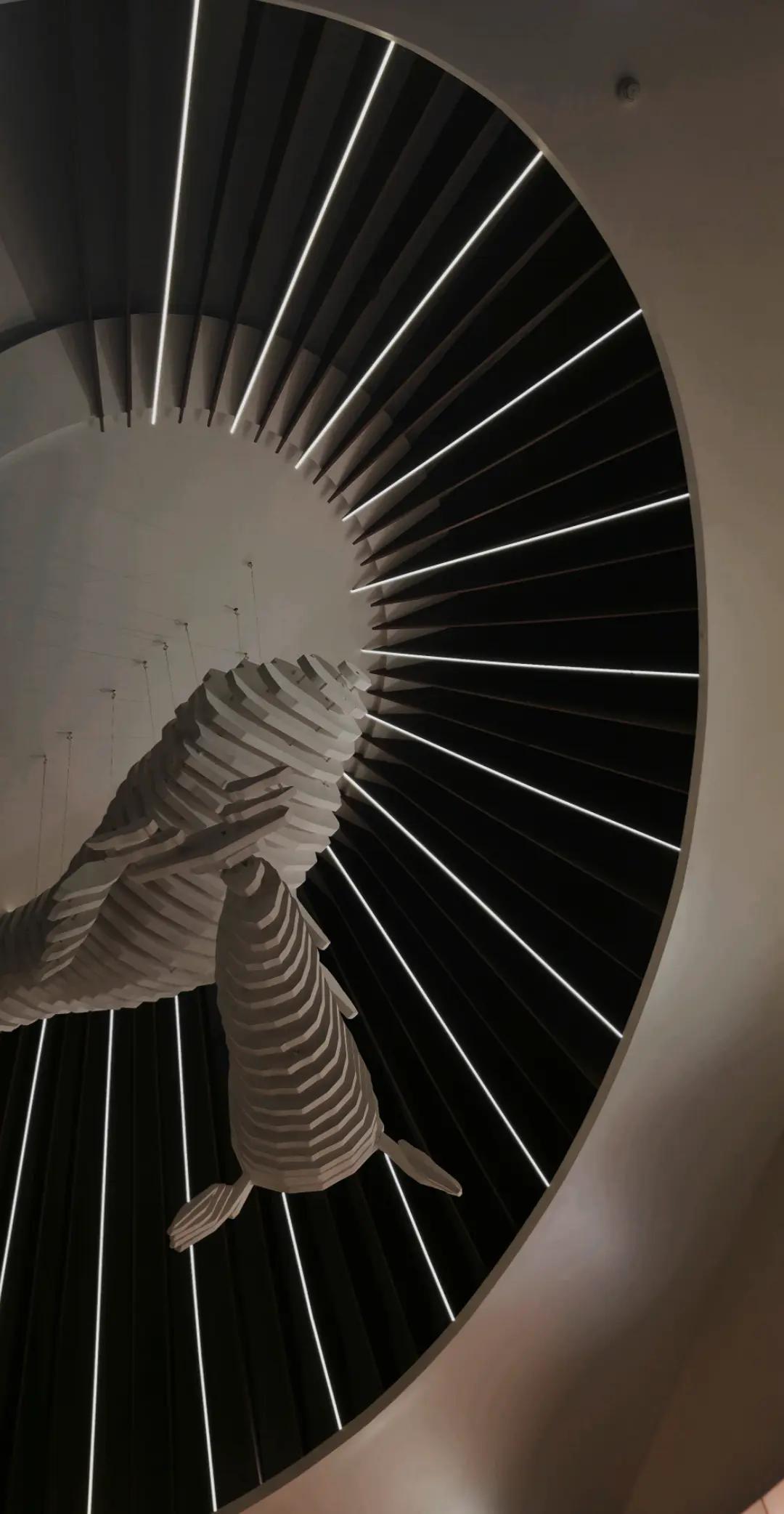 @🇸🇦سلُِطُان🇸🇦