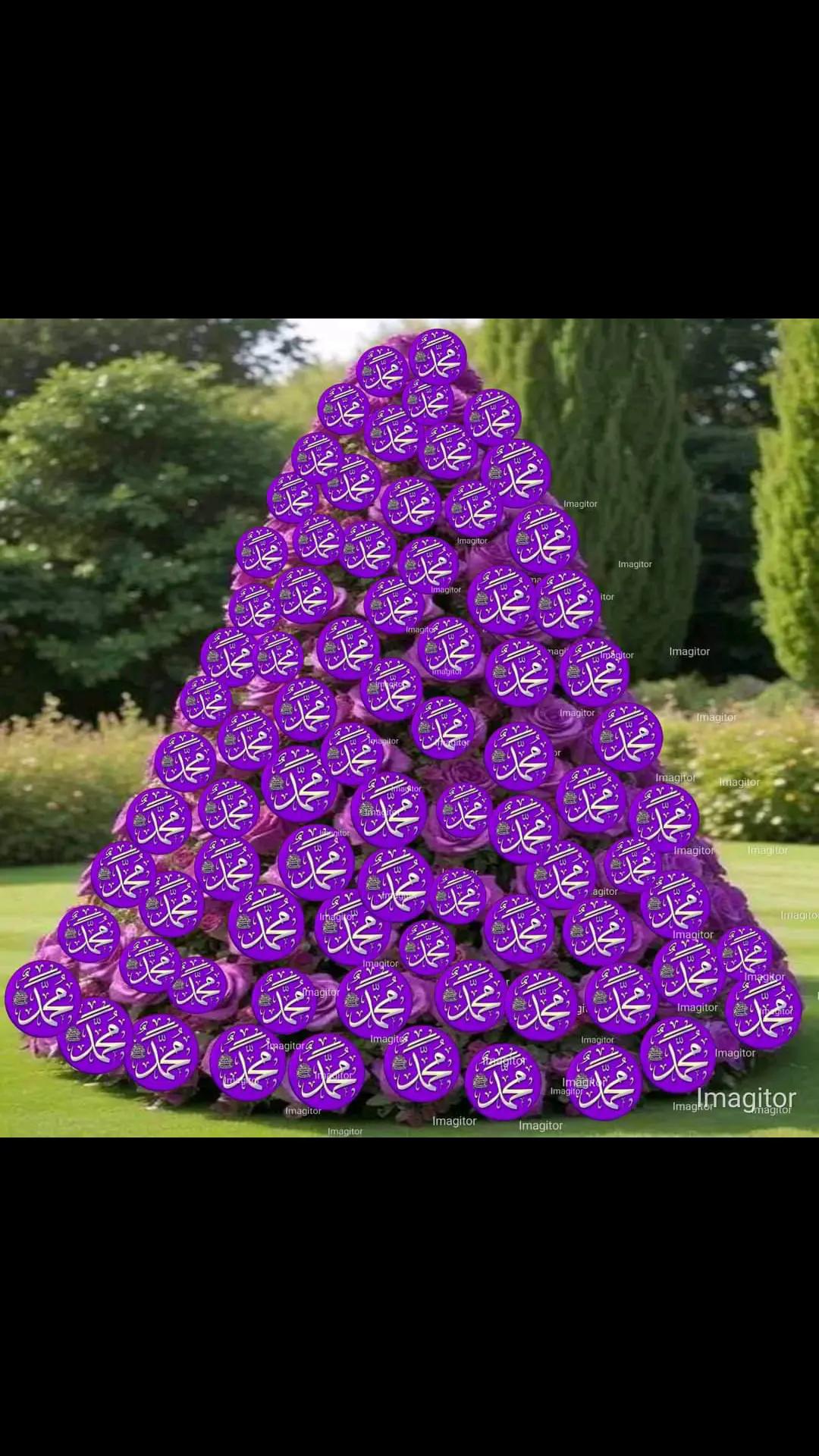 @qamar_d