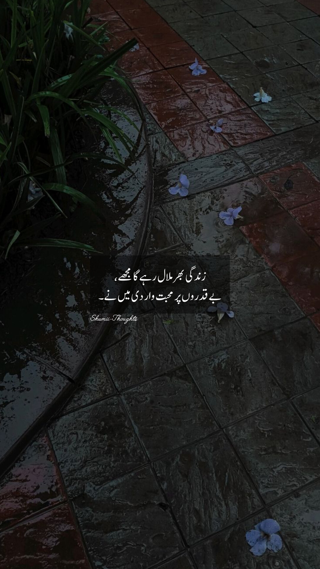 @shumaila malik