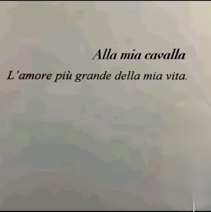 @morghi💋