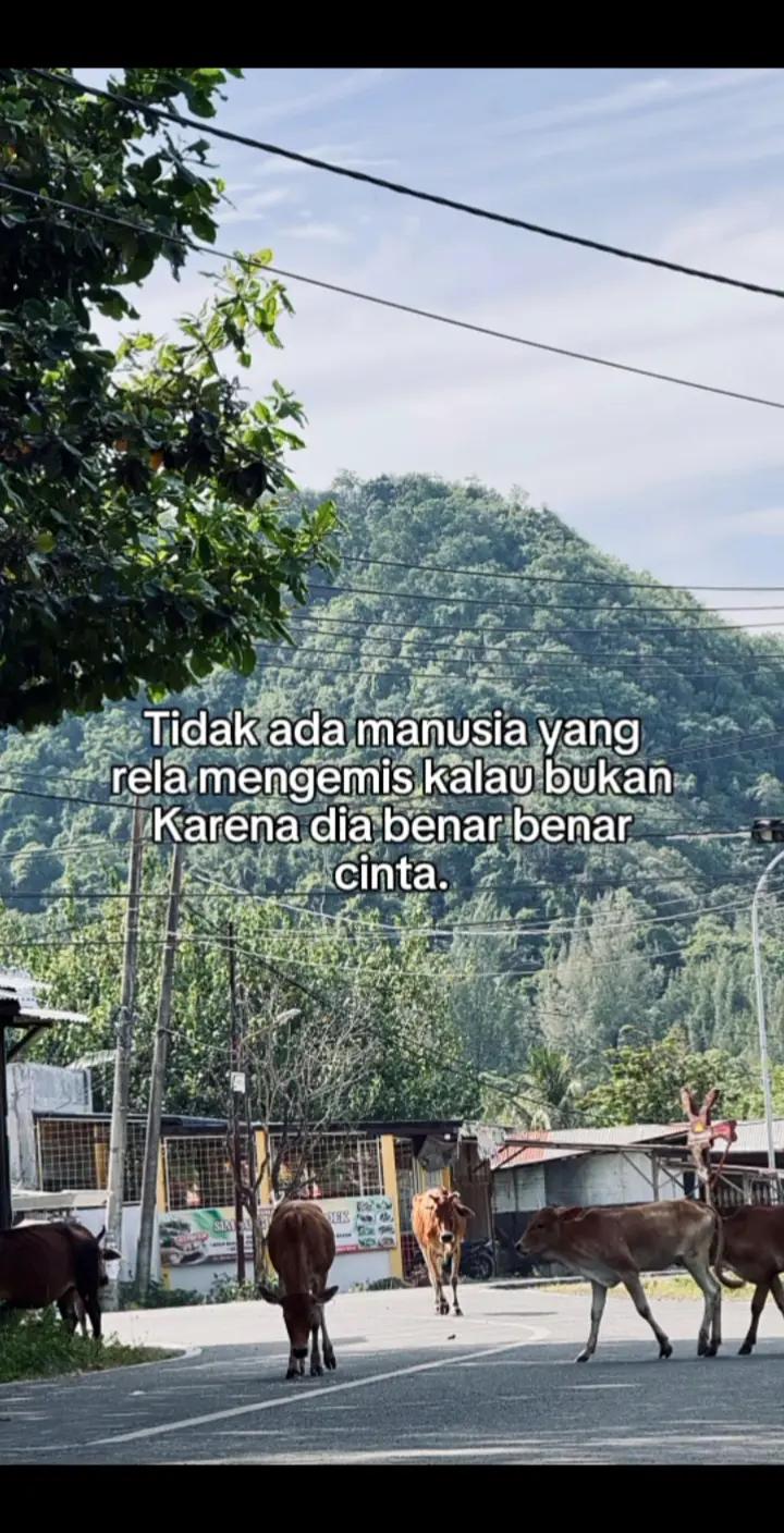 @H A N⚡