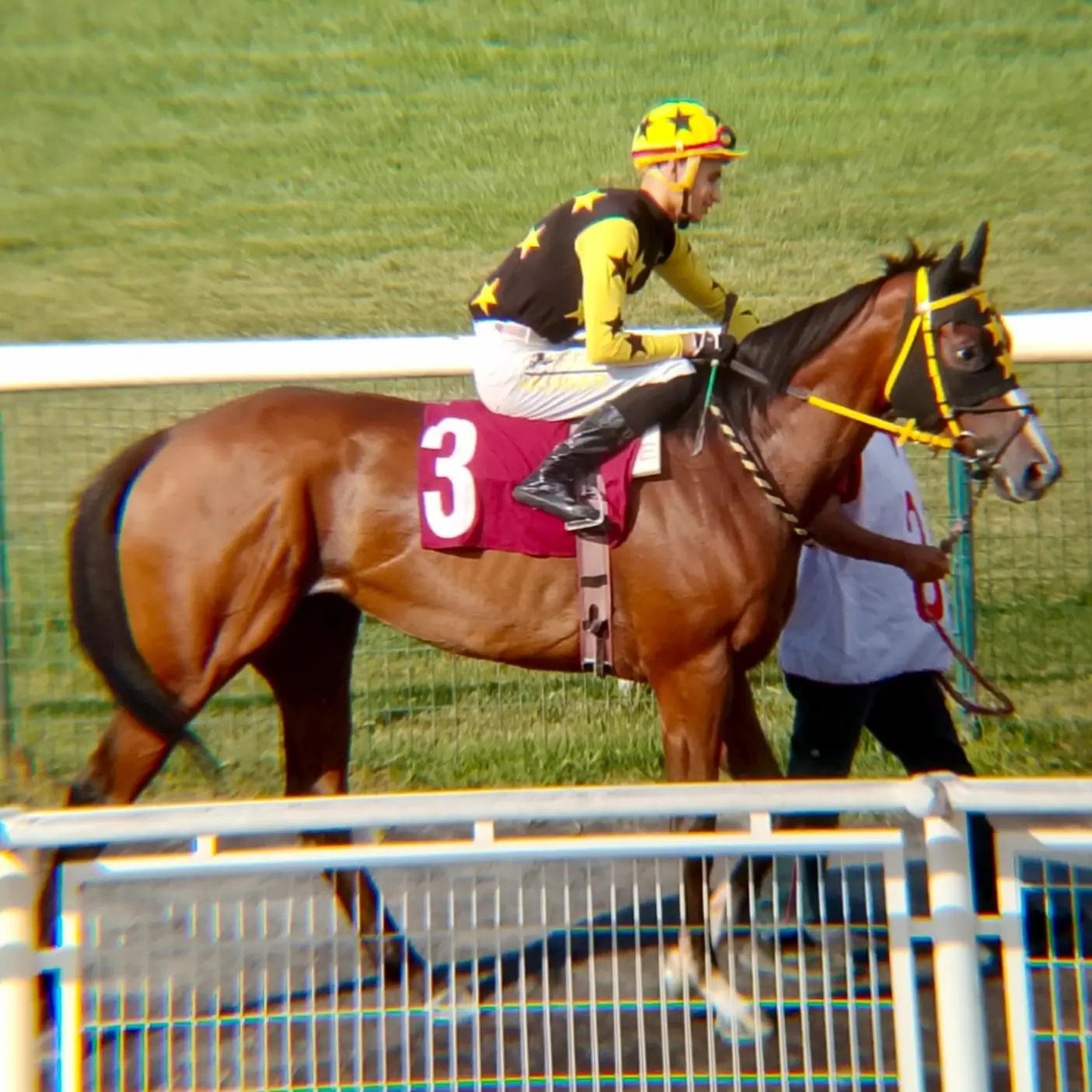 @brs horse racing