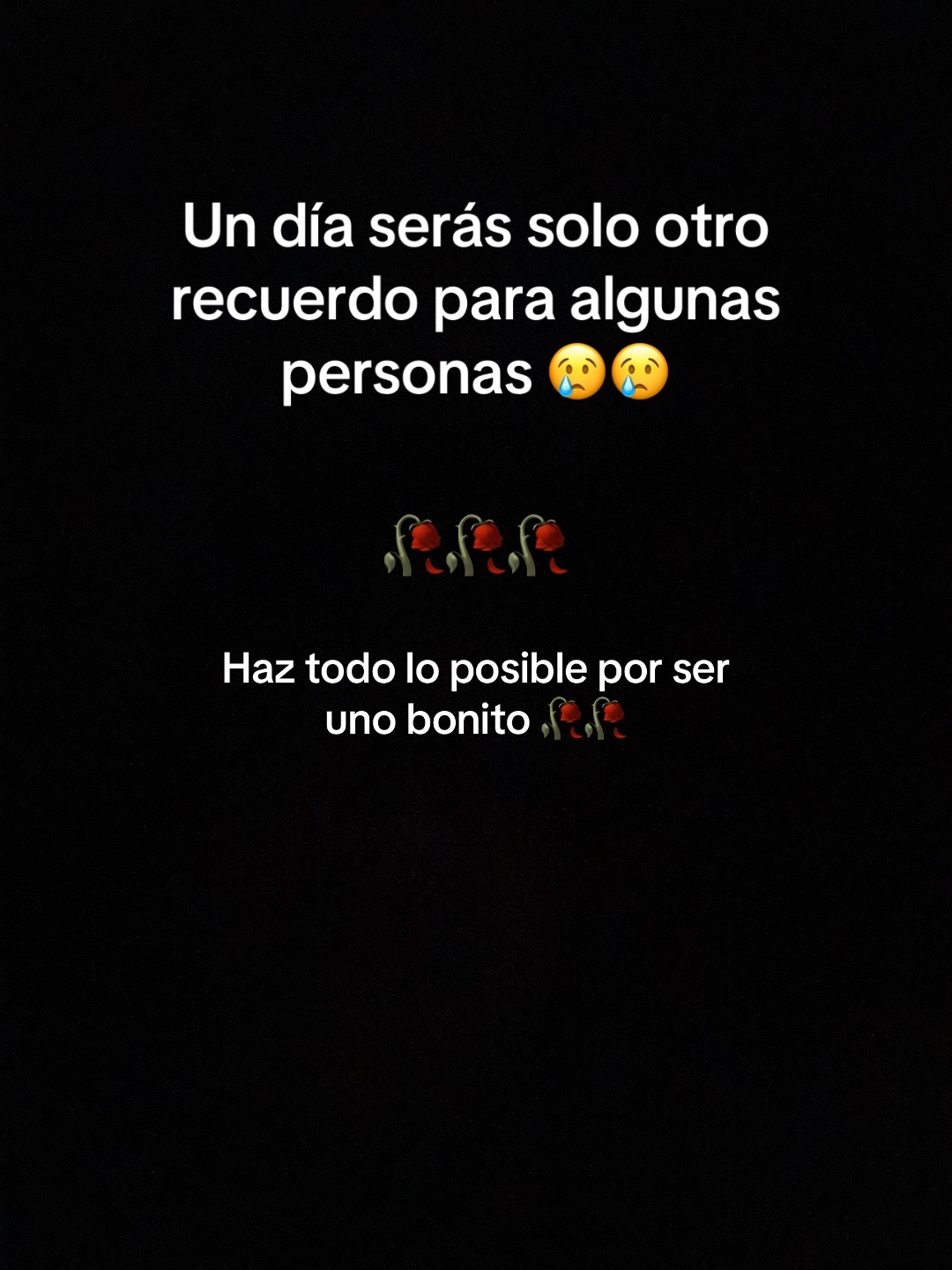 @sobrino737