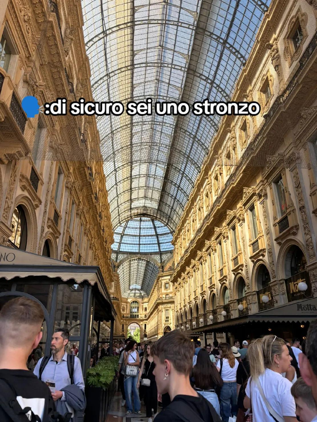 @🄳🄾🄼🄸🄽🄸🄲