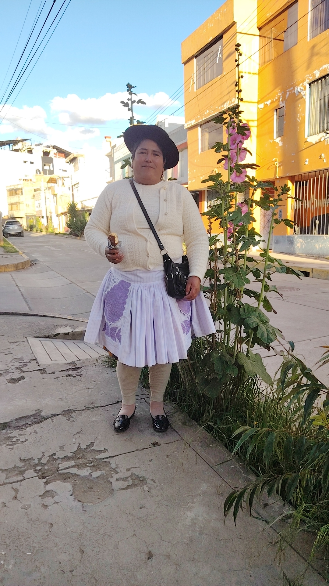 @Faustina Antezana flores