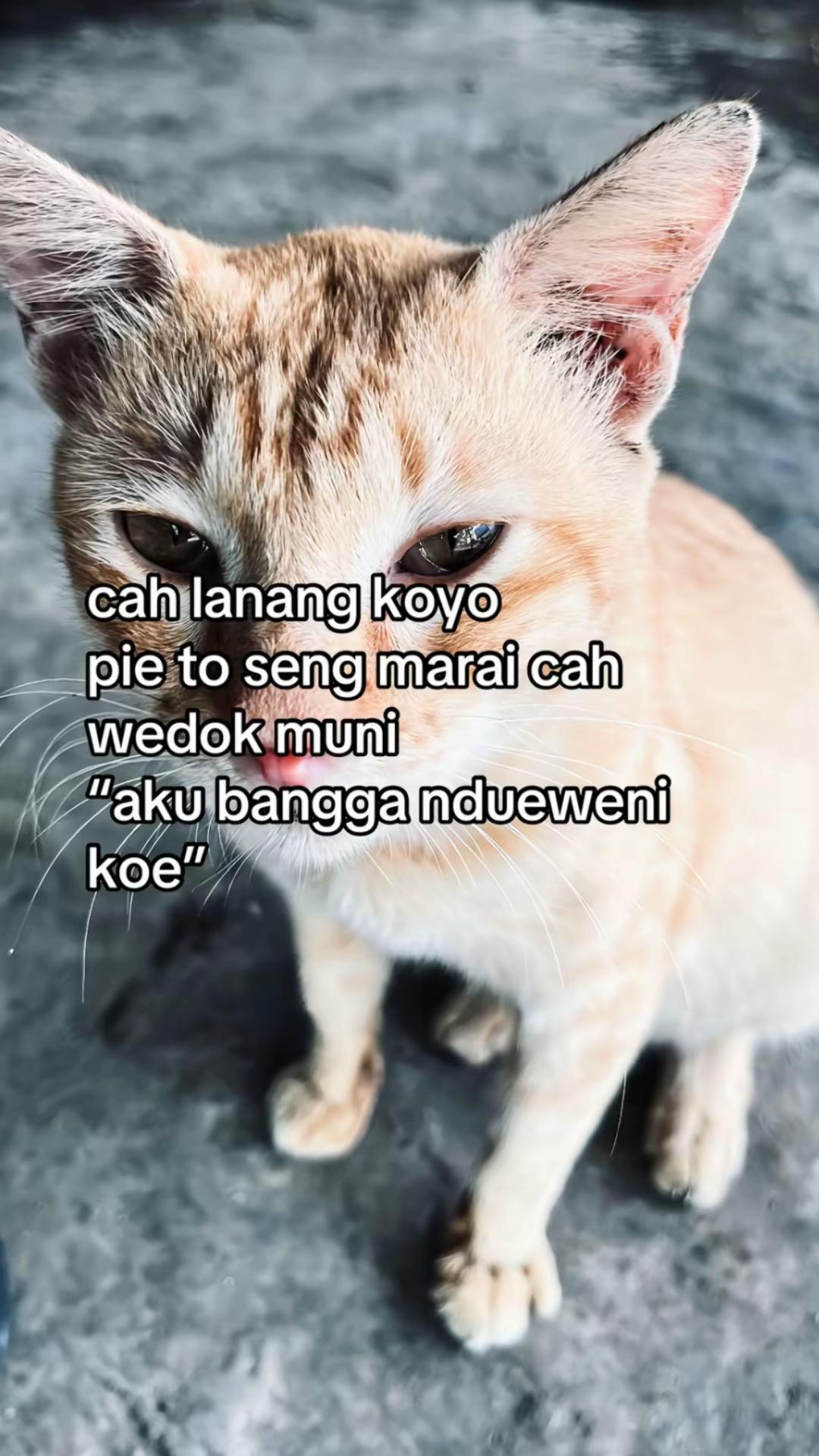 @w𝖆𝖆𝖓𝖘.
