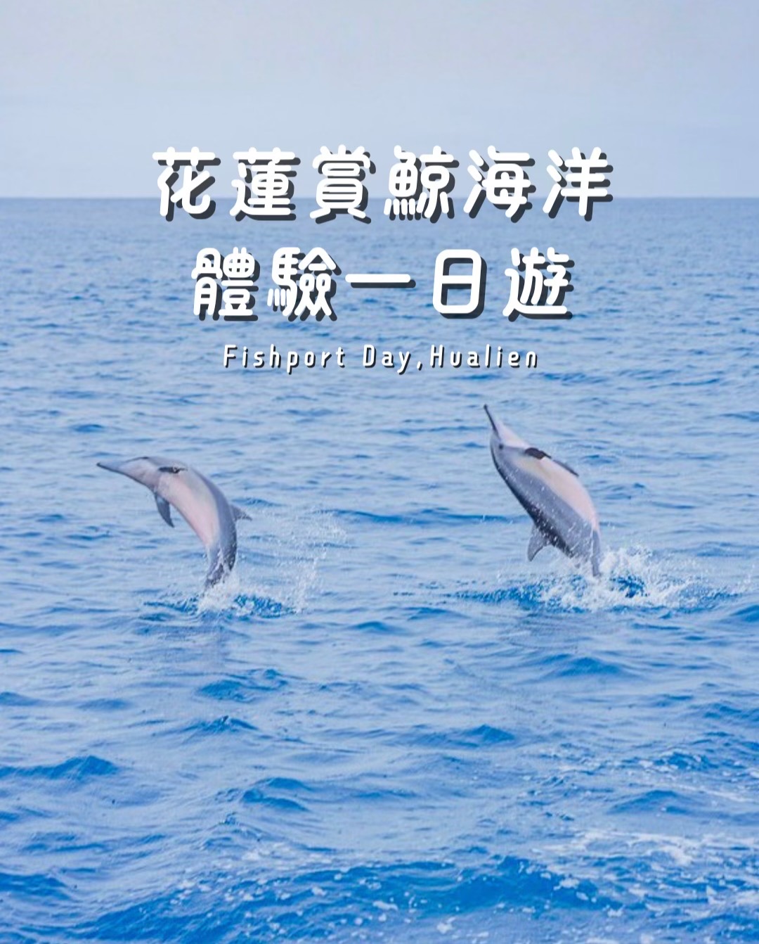 @卡夫卡