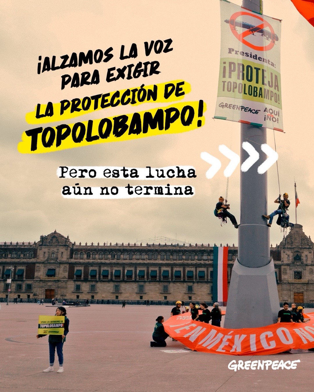 @Greenpeace México