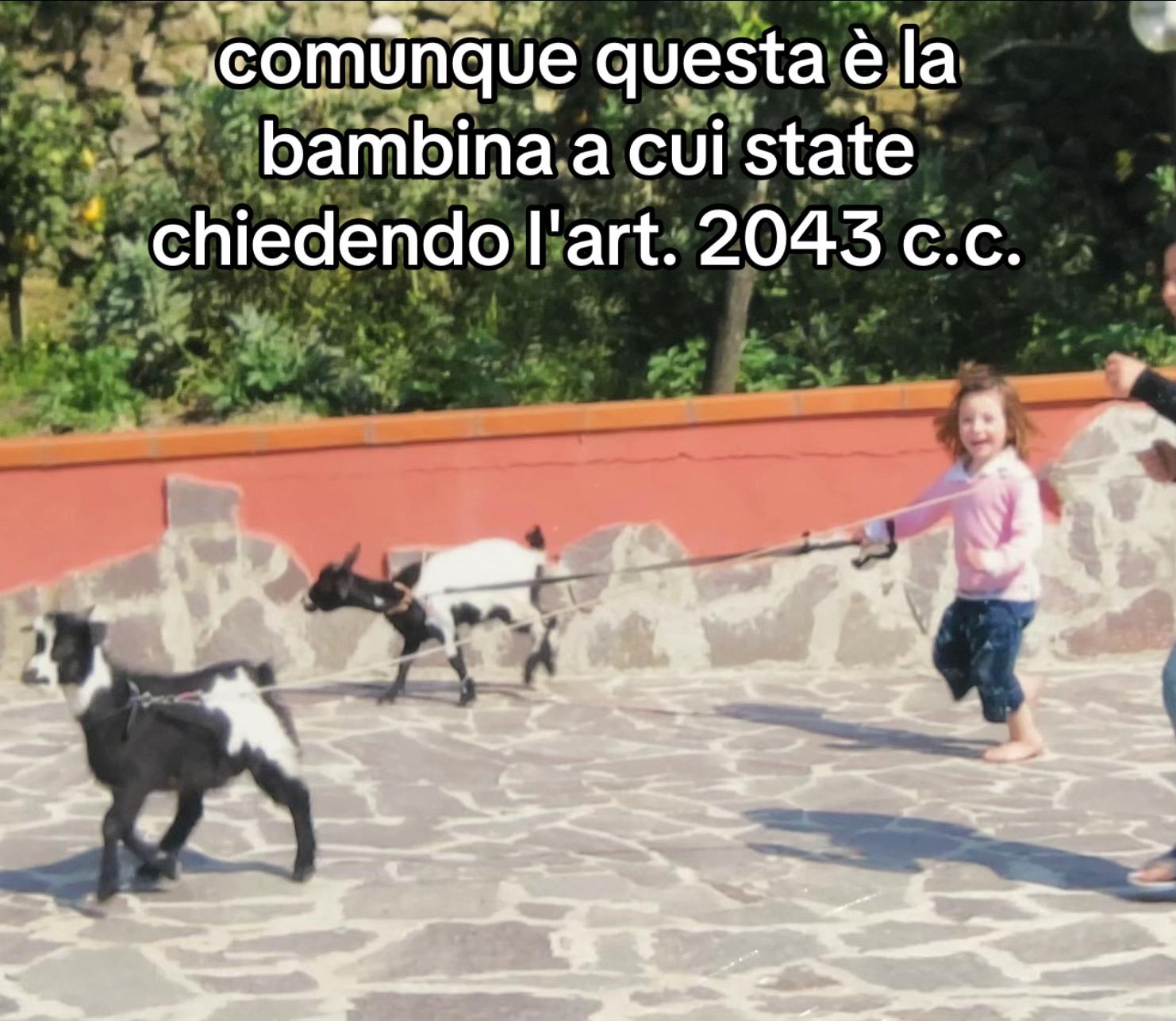 @Sharon Esposito