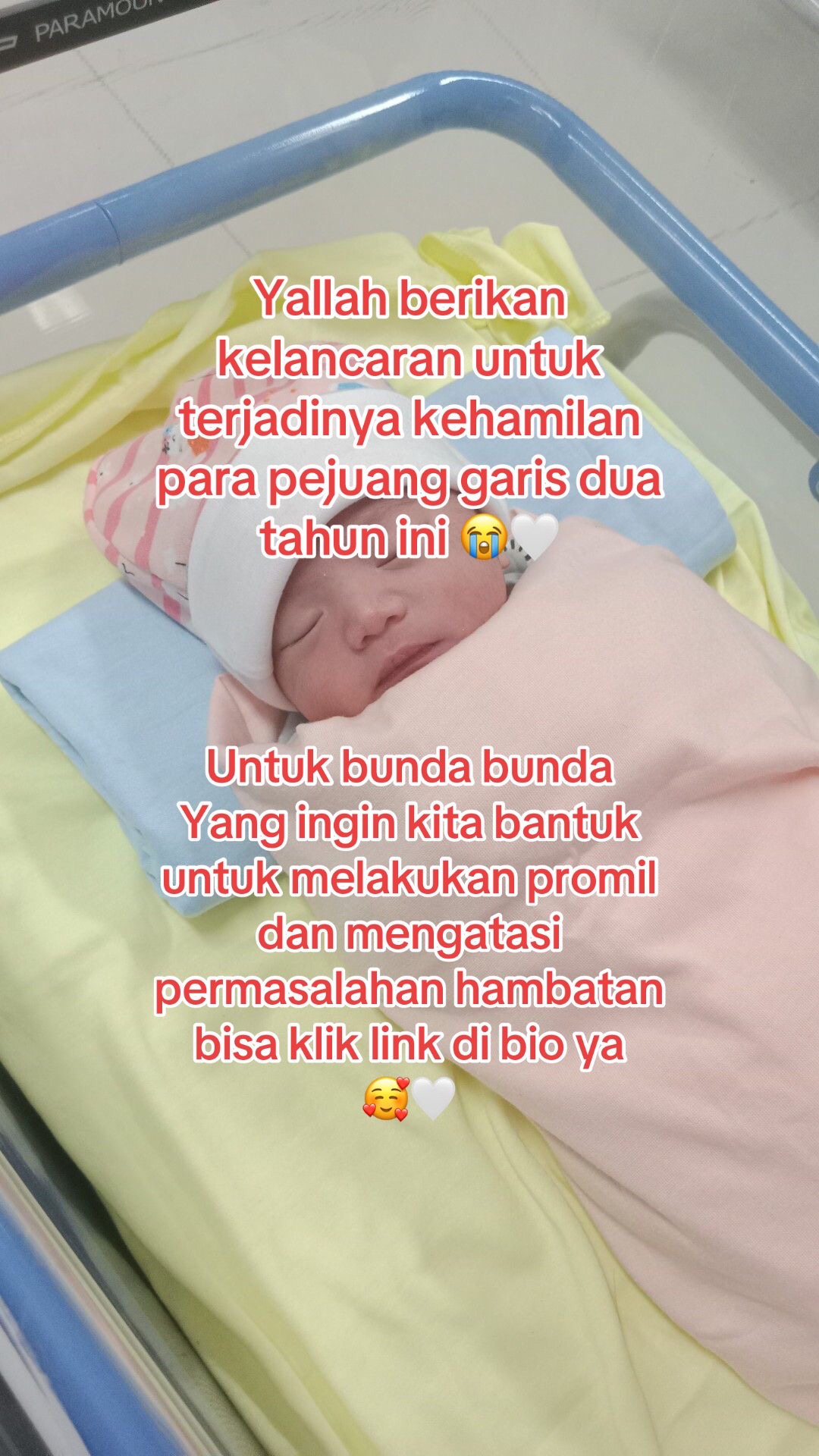 @promilholistik