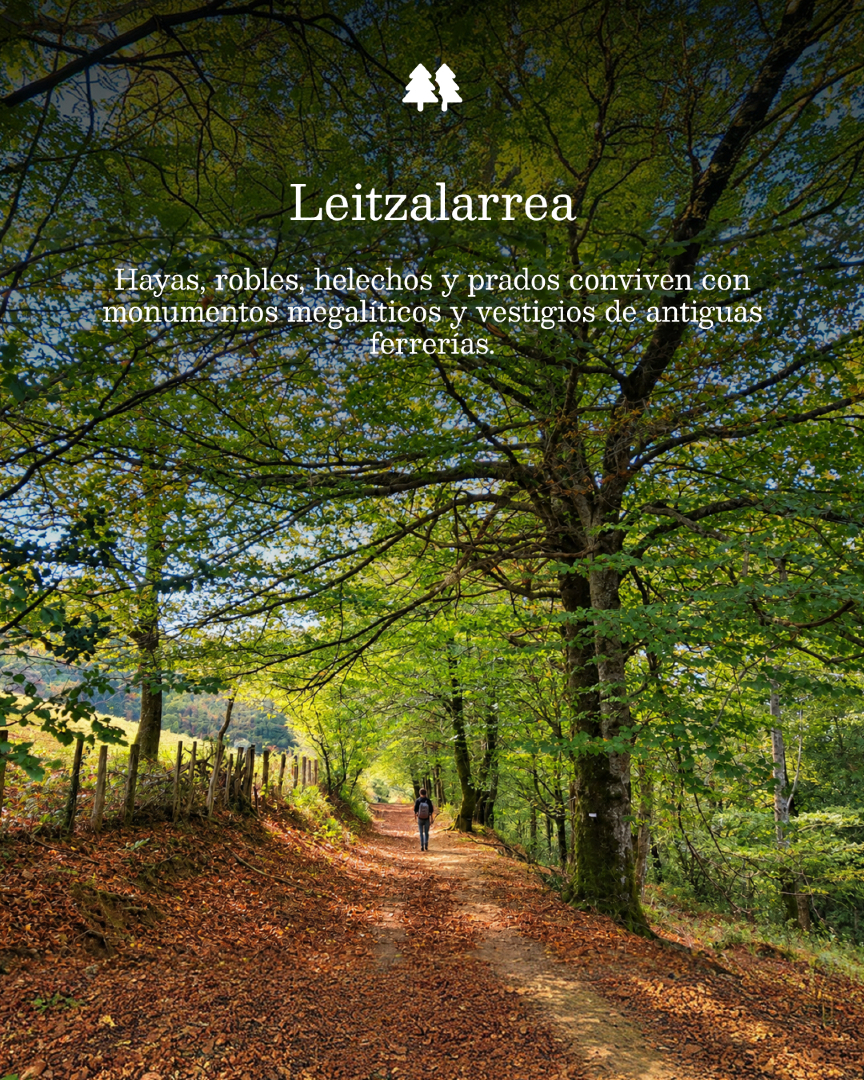 @Visit Navarra