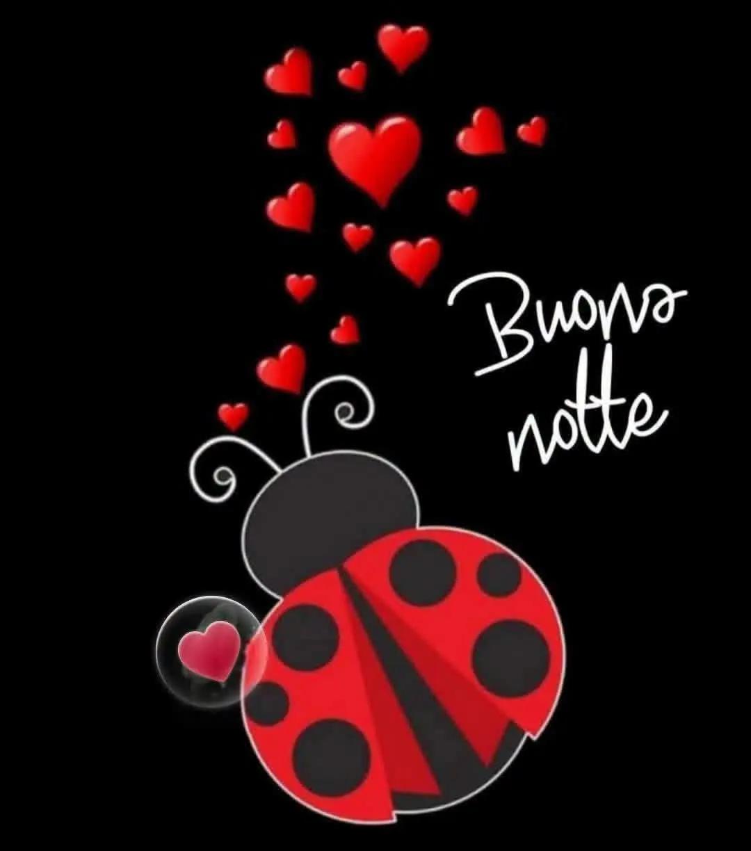 @Anto Iaquinangelo