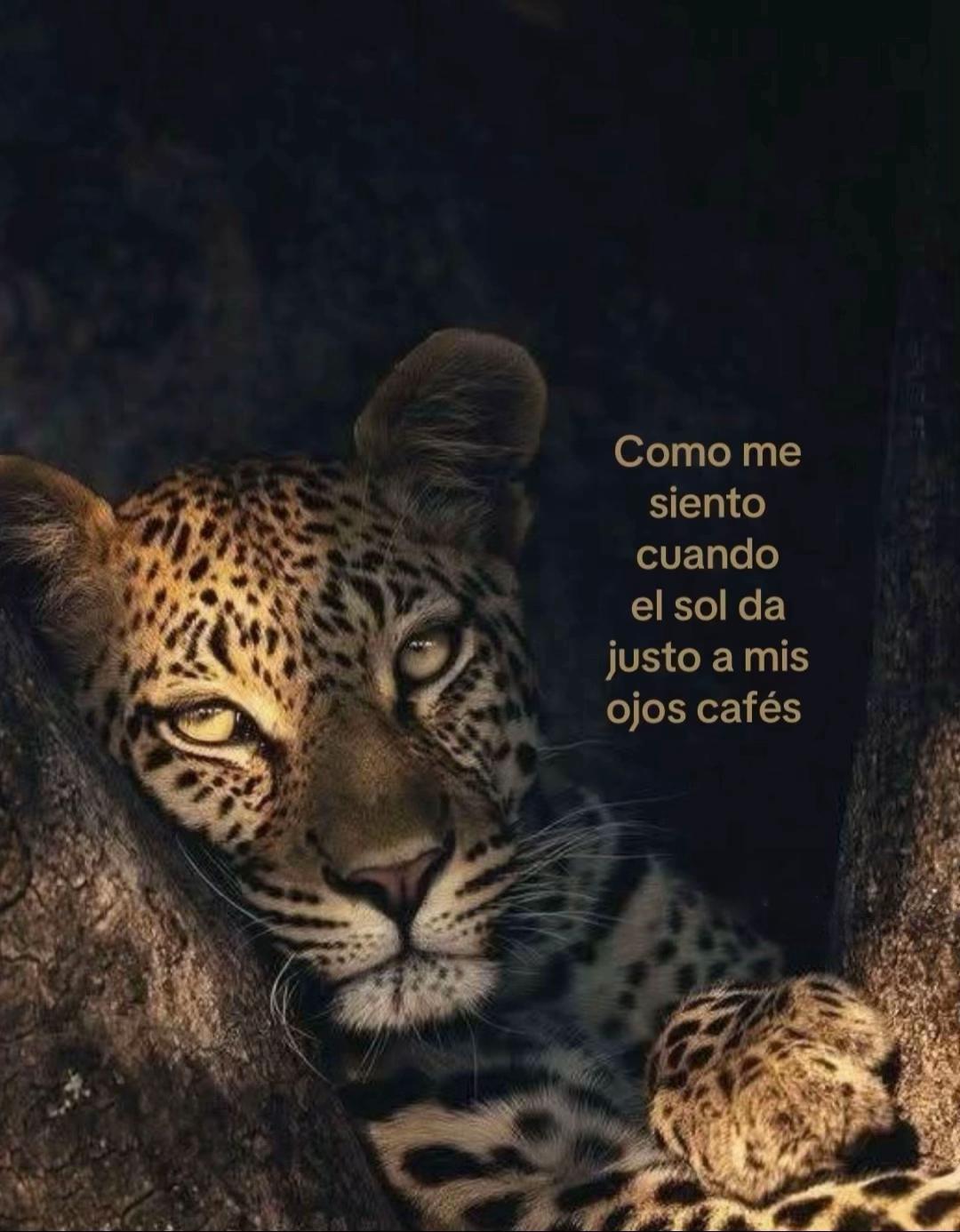 @Alli Vargas