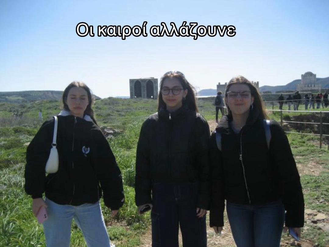 @metaccia