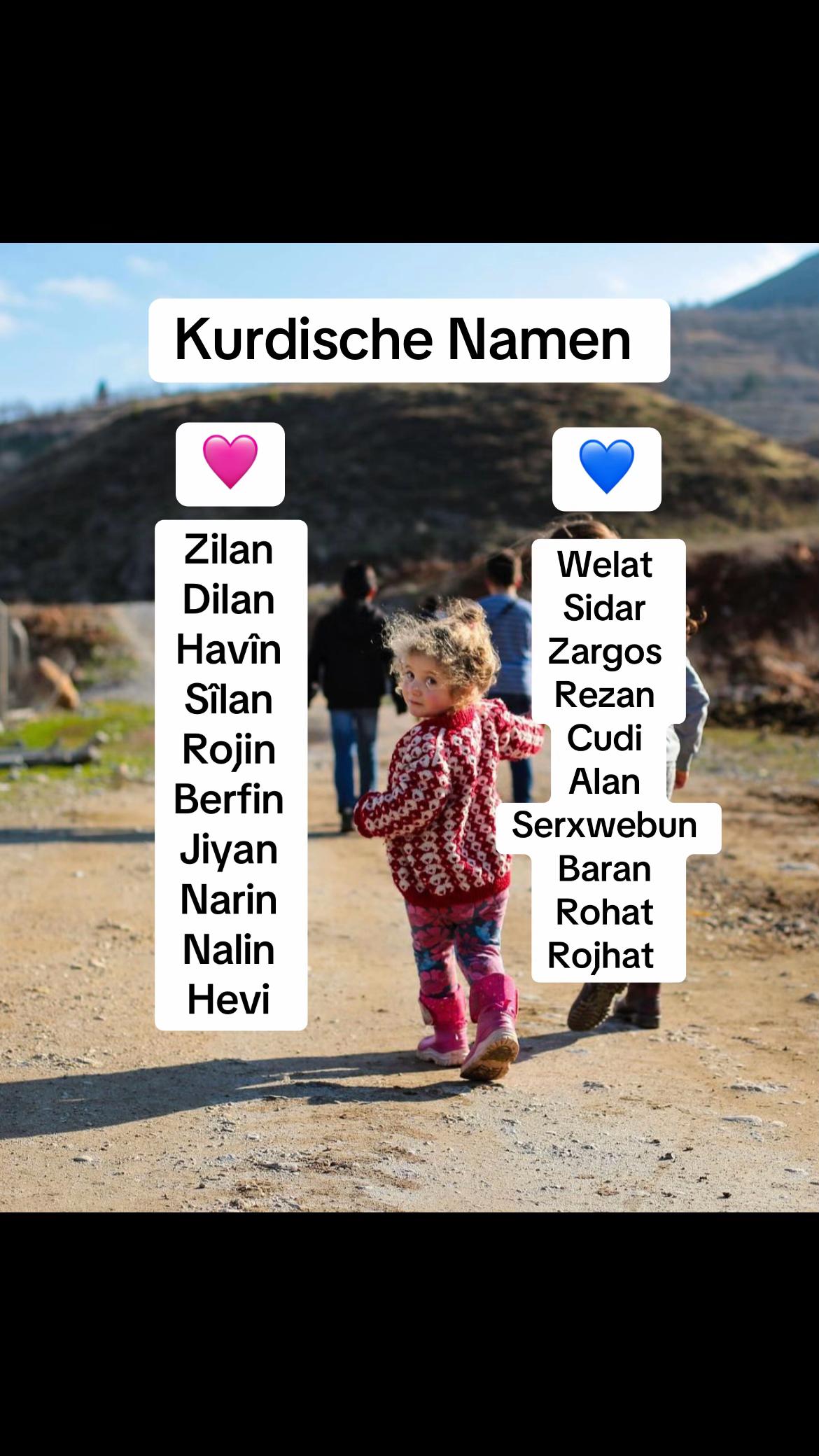 @kurdischeseite4747