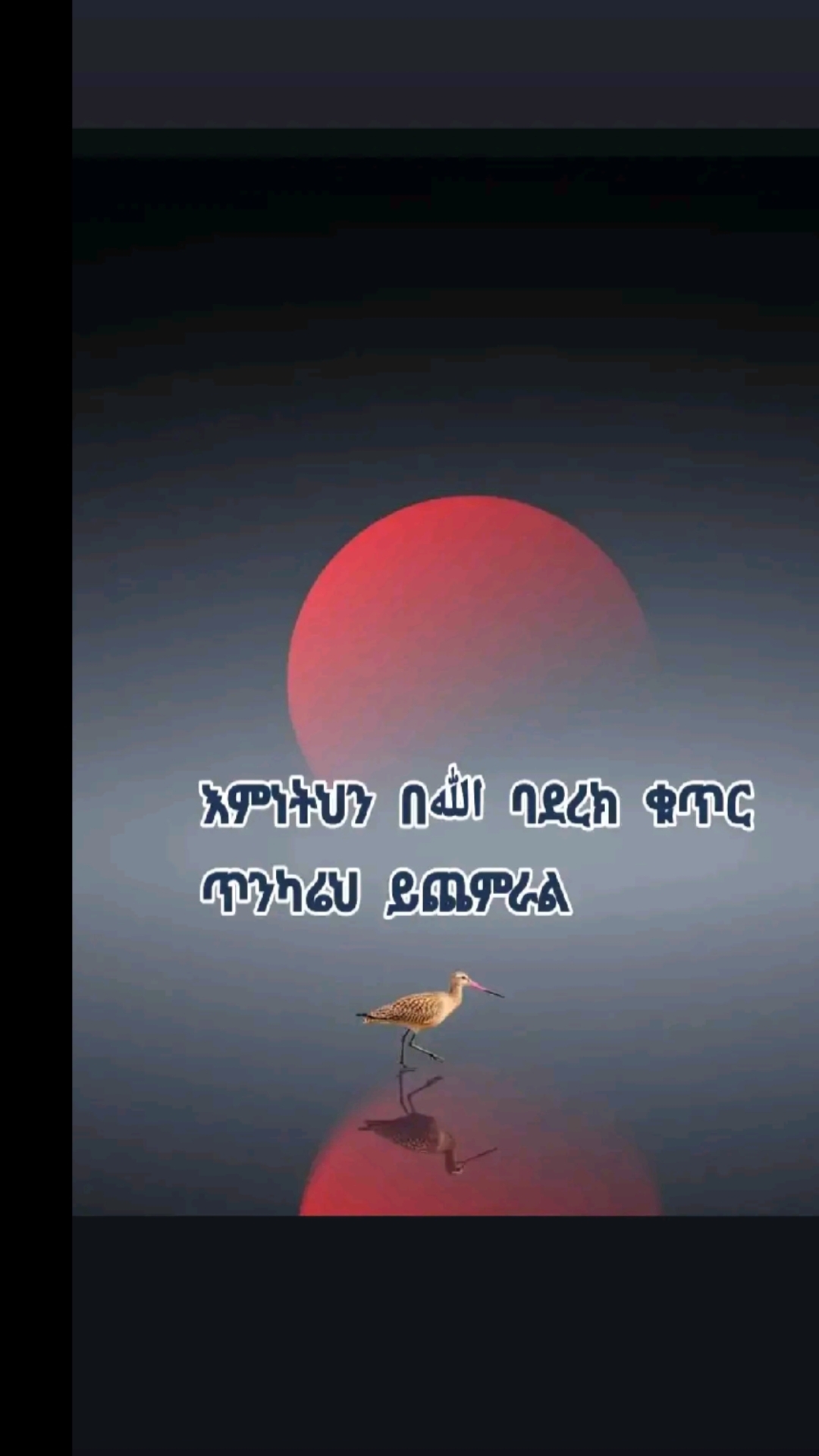 @Aeisha