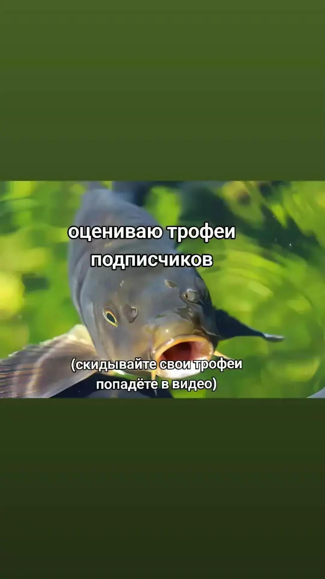 @🎣Рыбалка и многое другое🎣