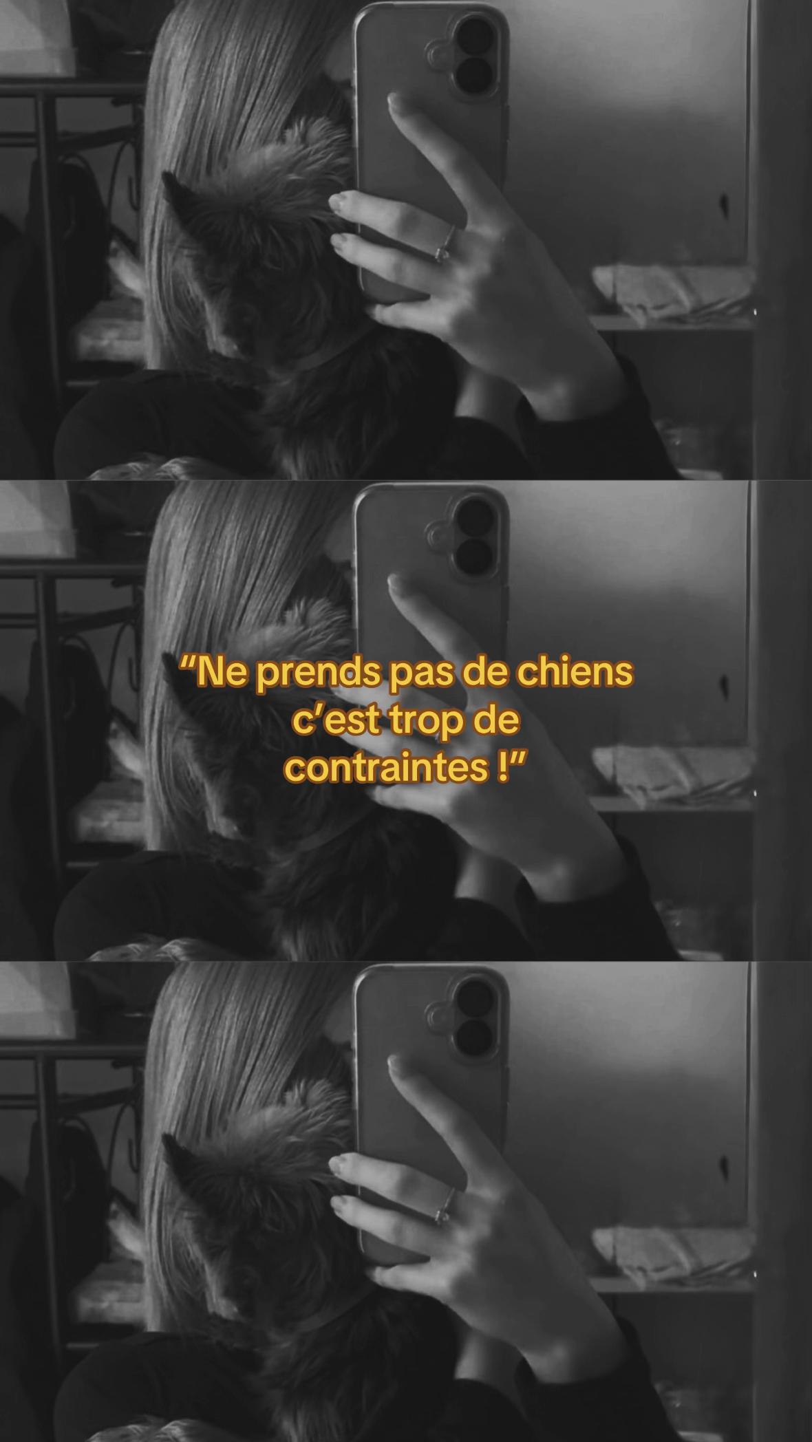 @ambreplouwy