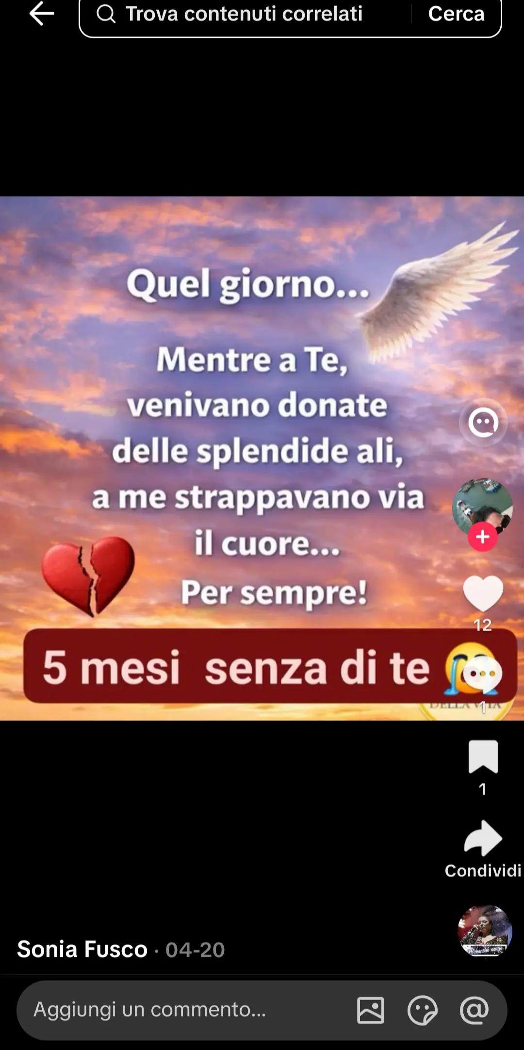 @anna andretta
