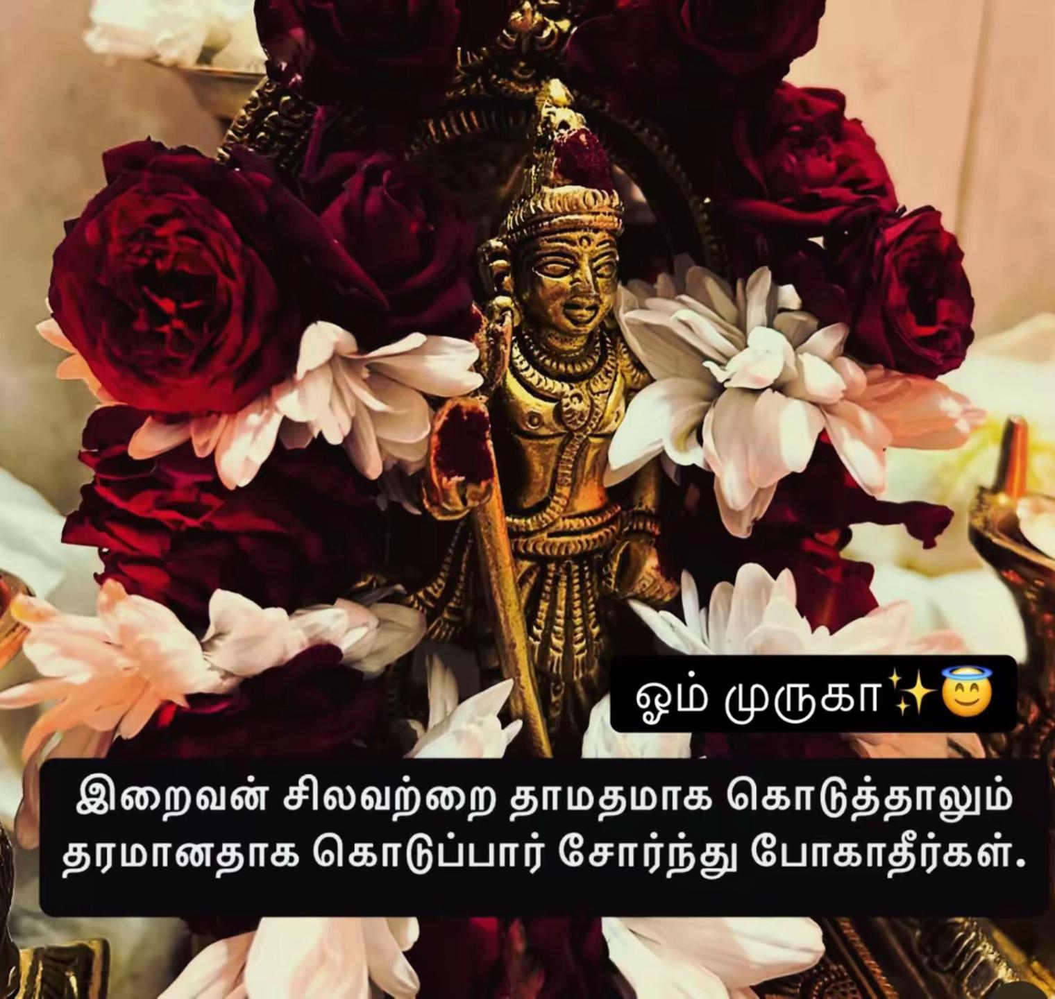 @Yamunadevi (RajadeviKitchen)