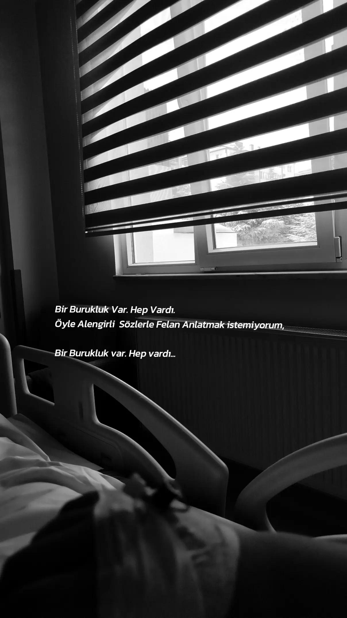 @Türkan kaya