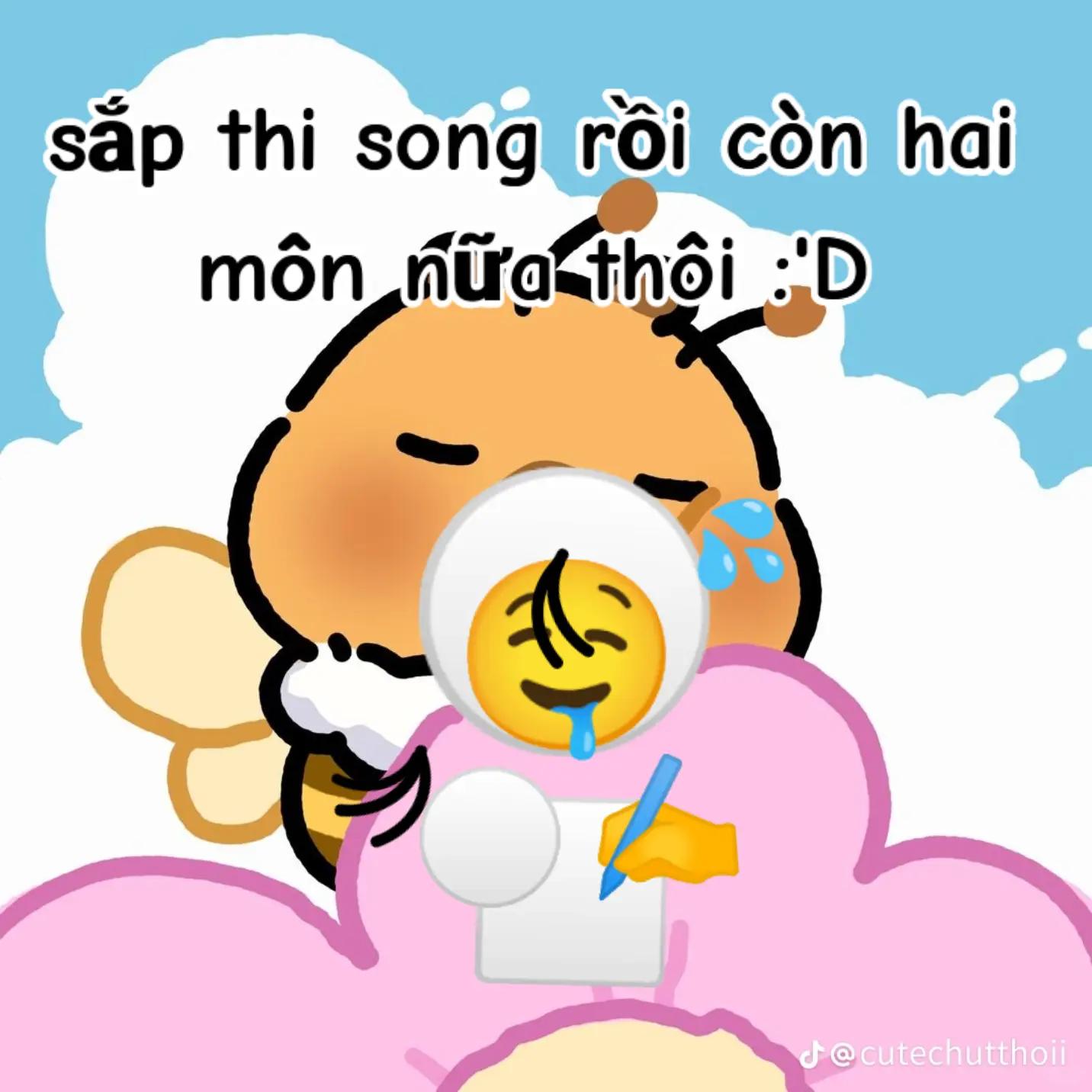 @🌷b&ocirc;ng hoa hồng 🎀