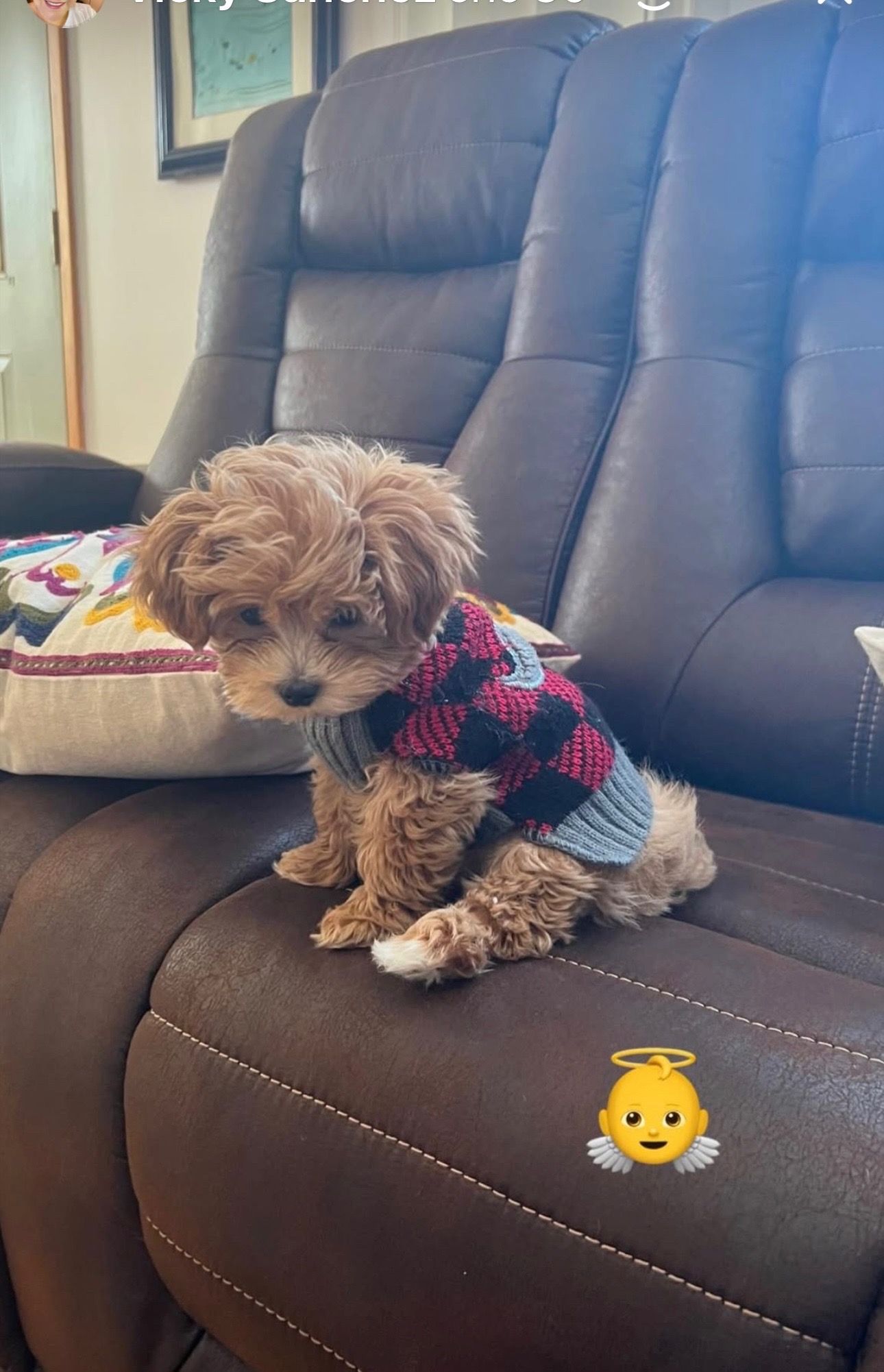 @Bomby y princesa🩵🩷