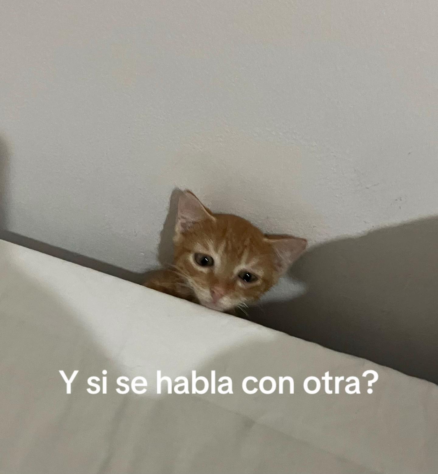@itz_.nan4a